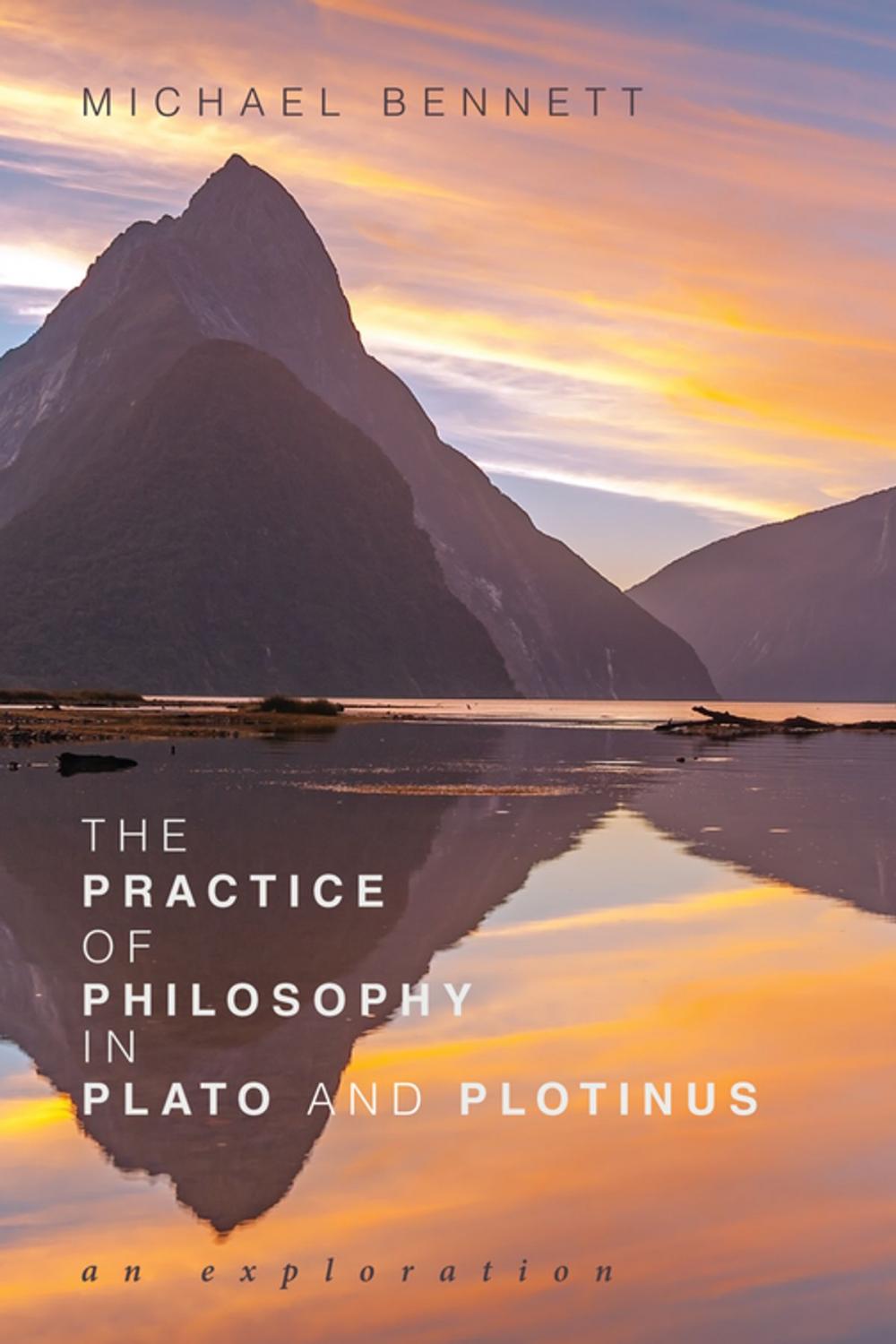 Big bigCover of The Practice of Philosophy in Plato and Plotinus