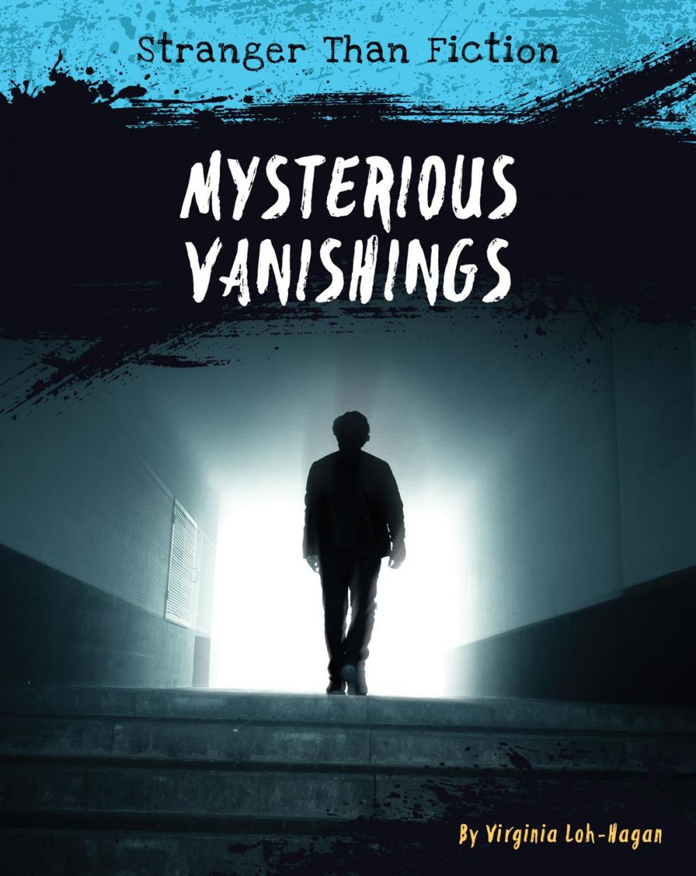 Big bigCover of Mysterious Vanishings