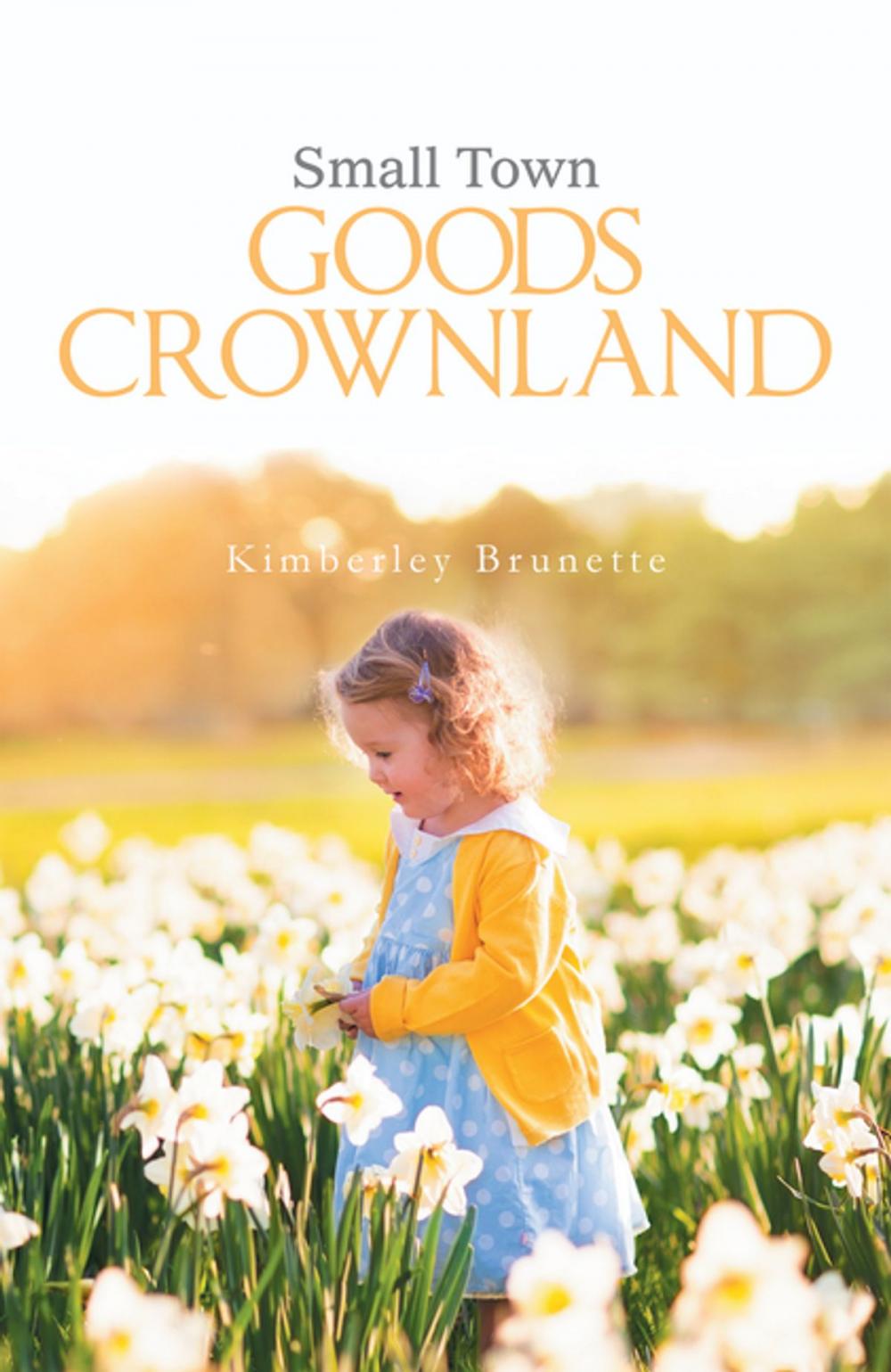 Big bigCover of Small Town Goods Crownland