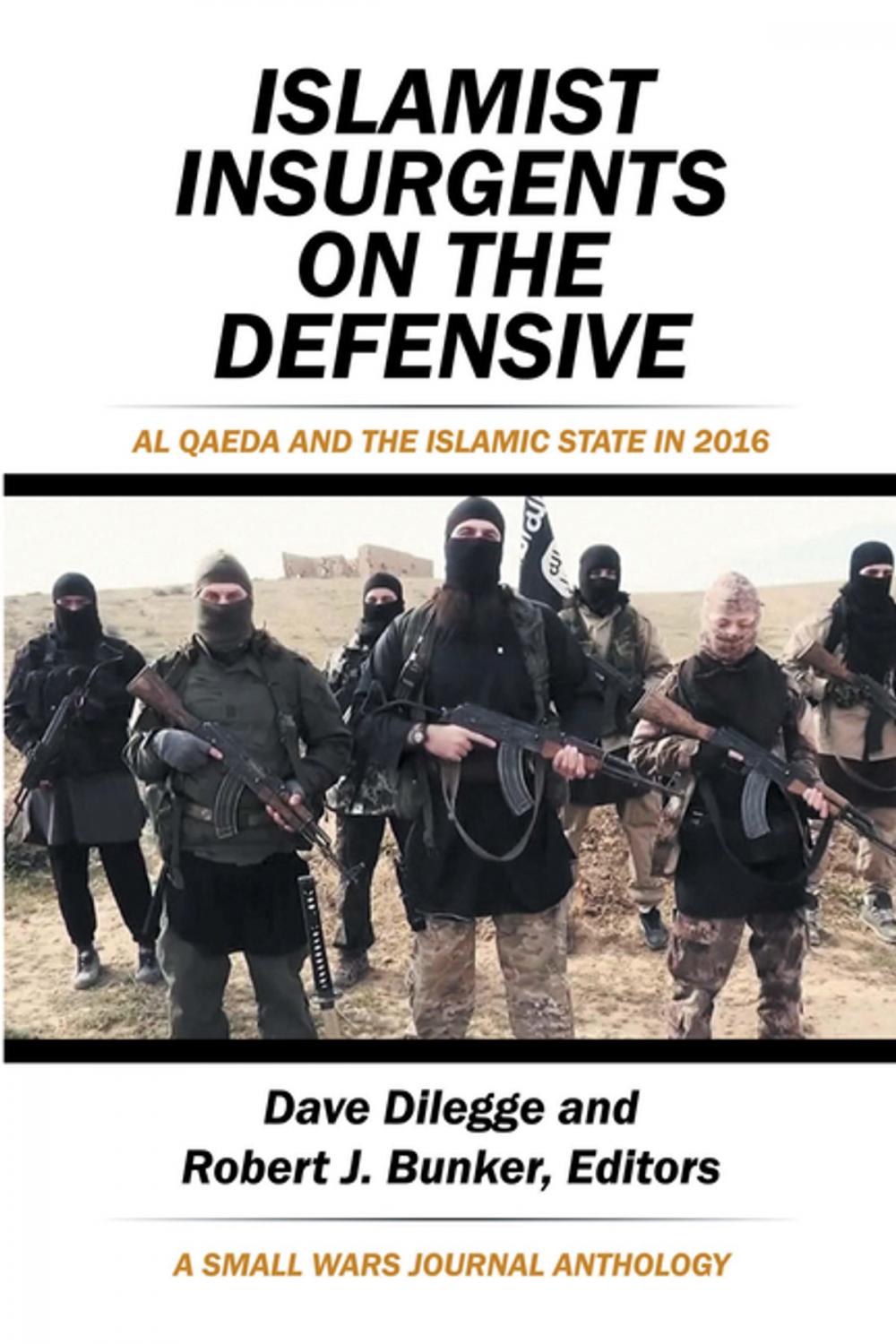 Big bigCover of Islamist Insurgents on the Defensive