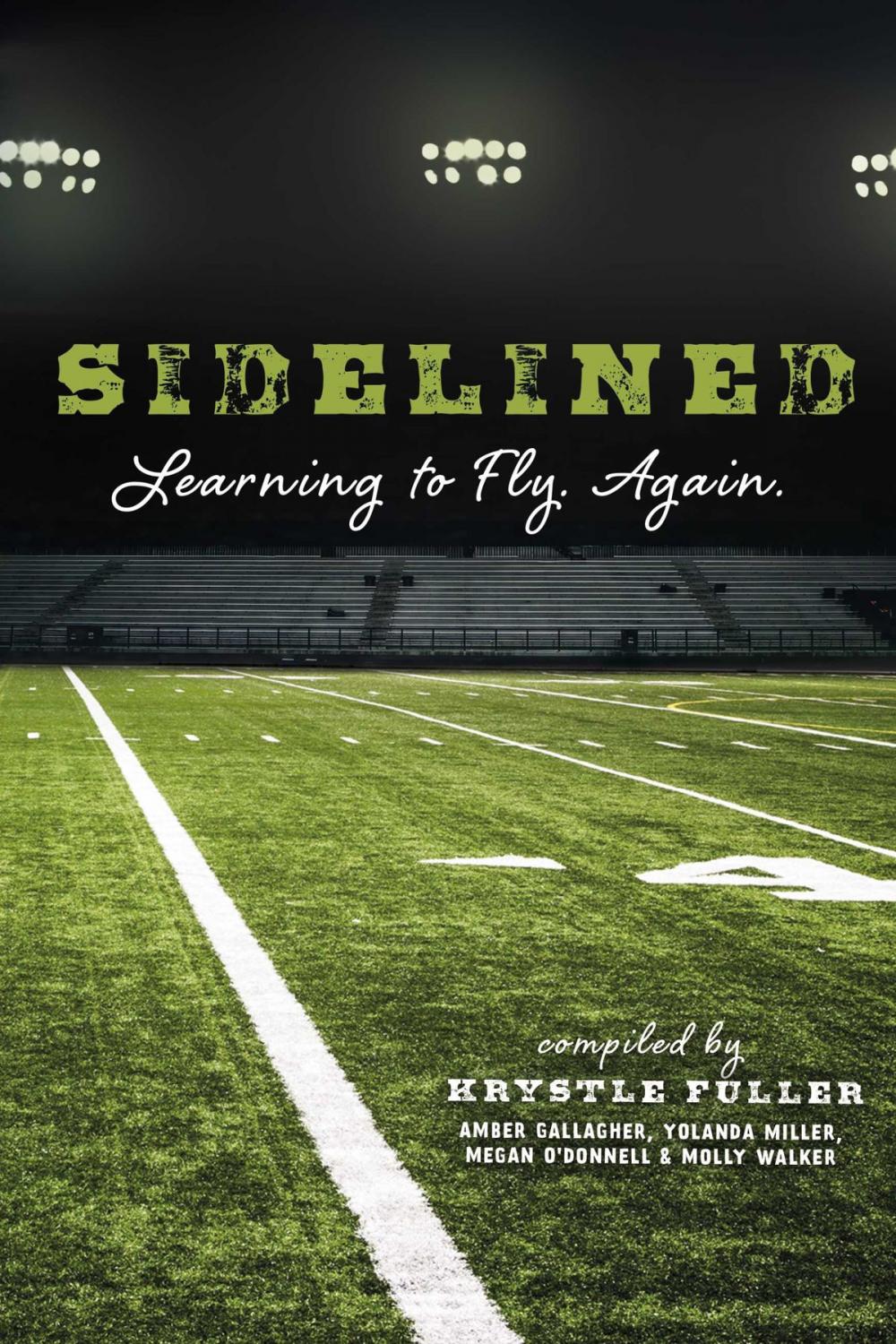 Big bigCover of Sidelined