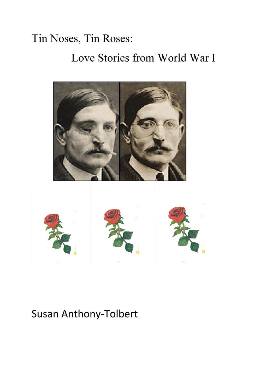 Big bigCover of Tin Noses, Tin Roses: Love Stories from World War I