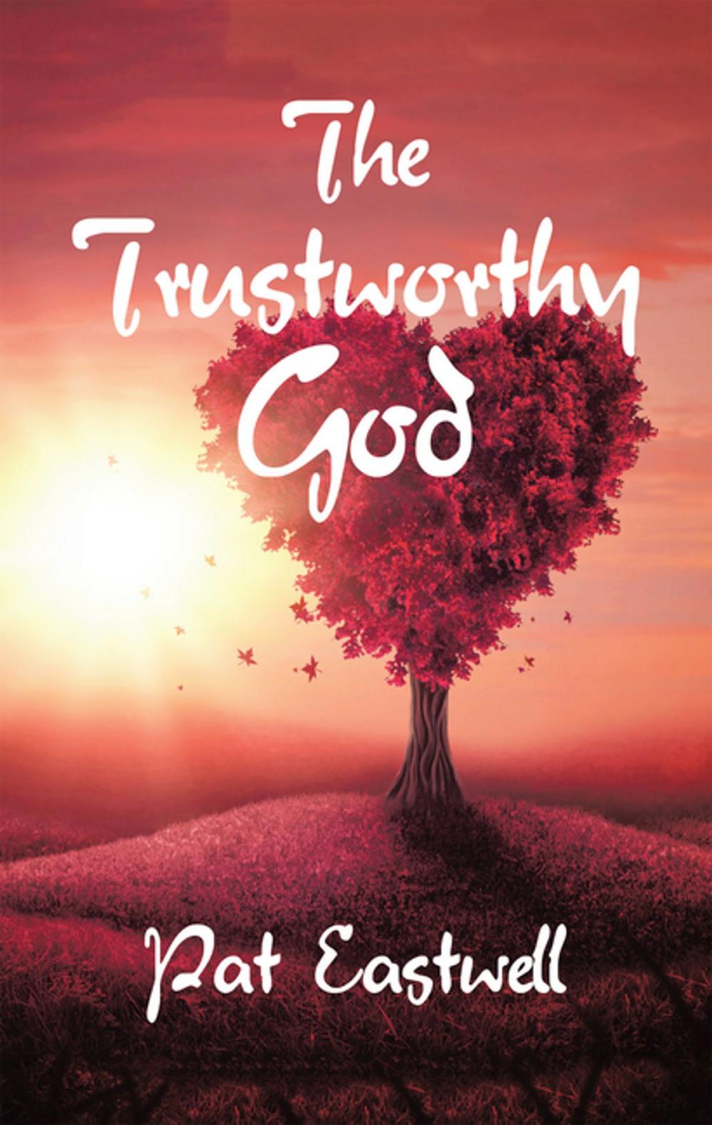 Big bigCover of The Trustworthy God