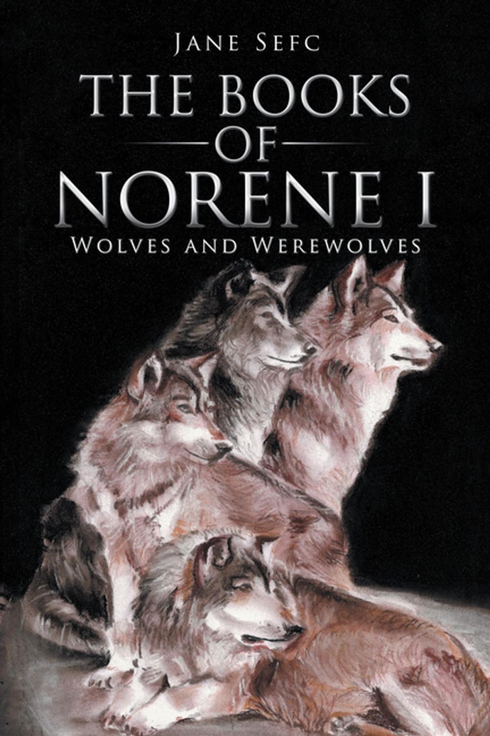 Big bigCover of The Books of Norene I