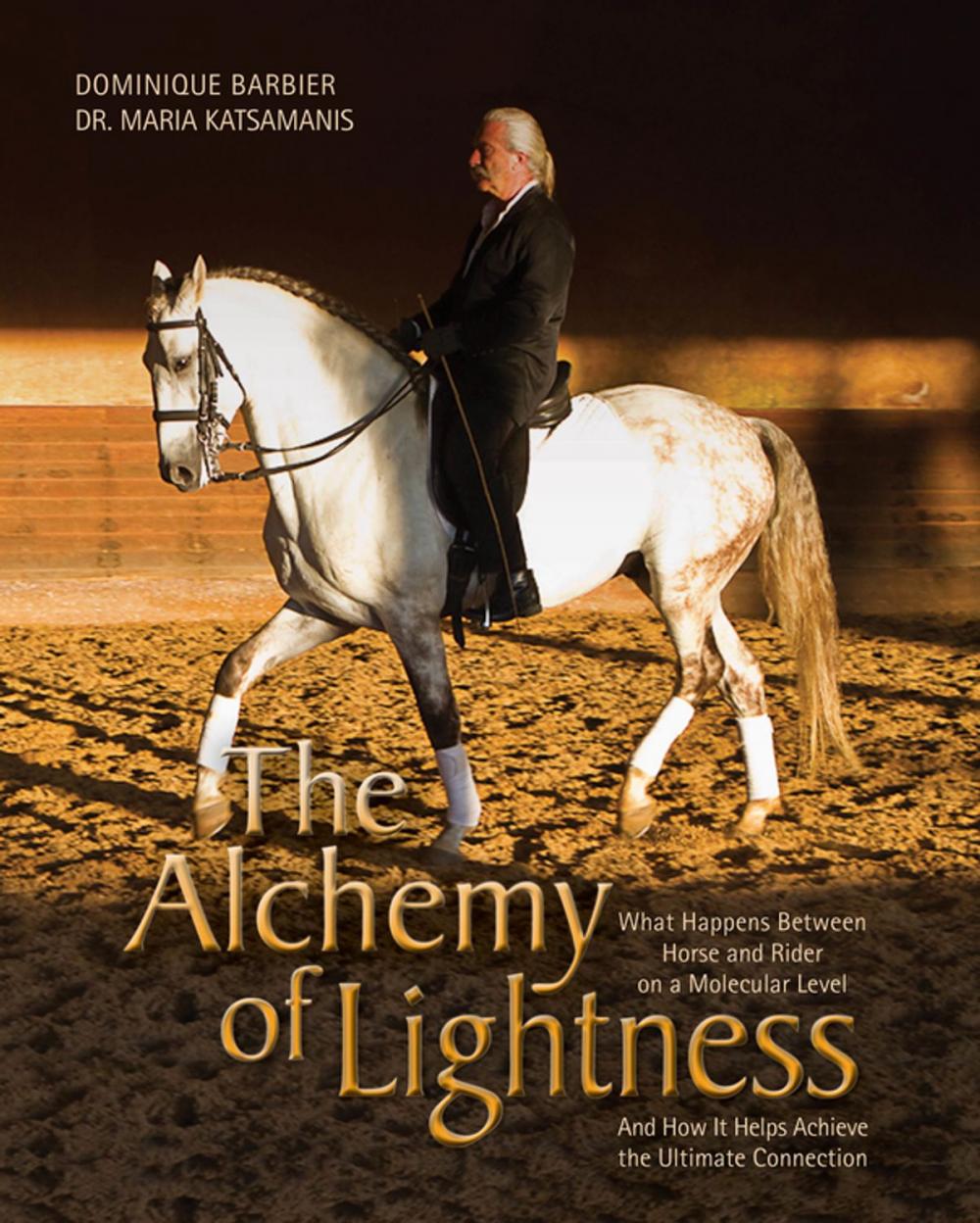 Big bigCover of The Alchemy of Lightness