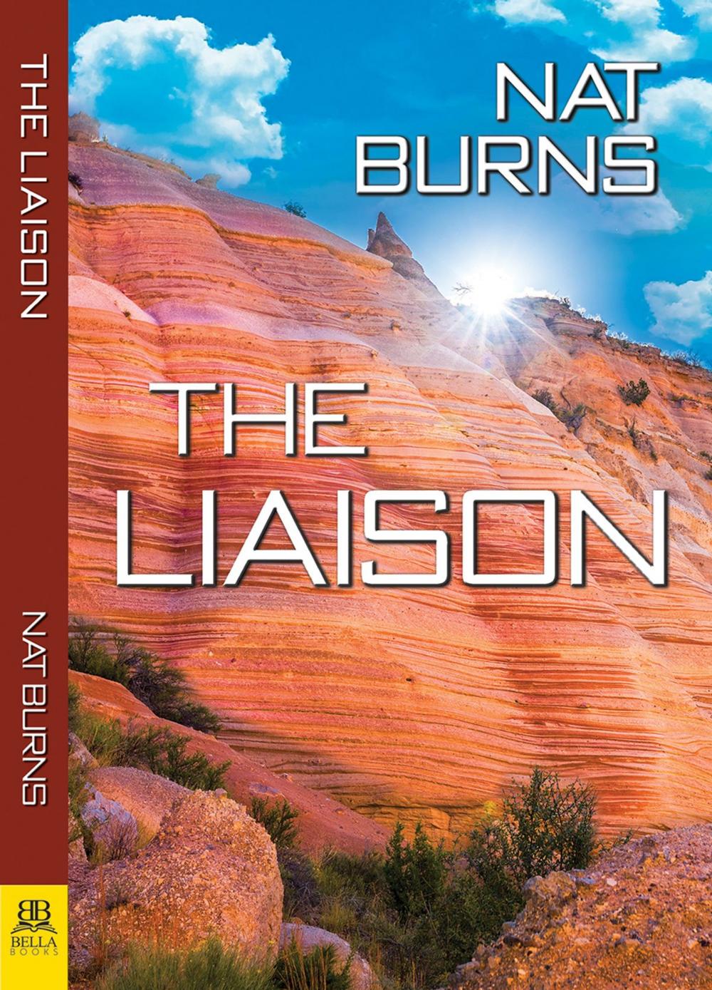 Big bigCover of The Liaison