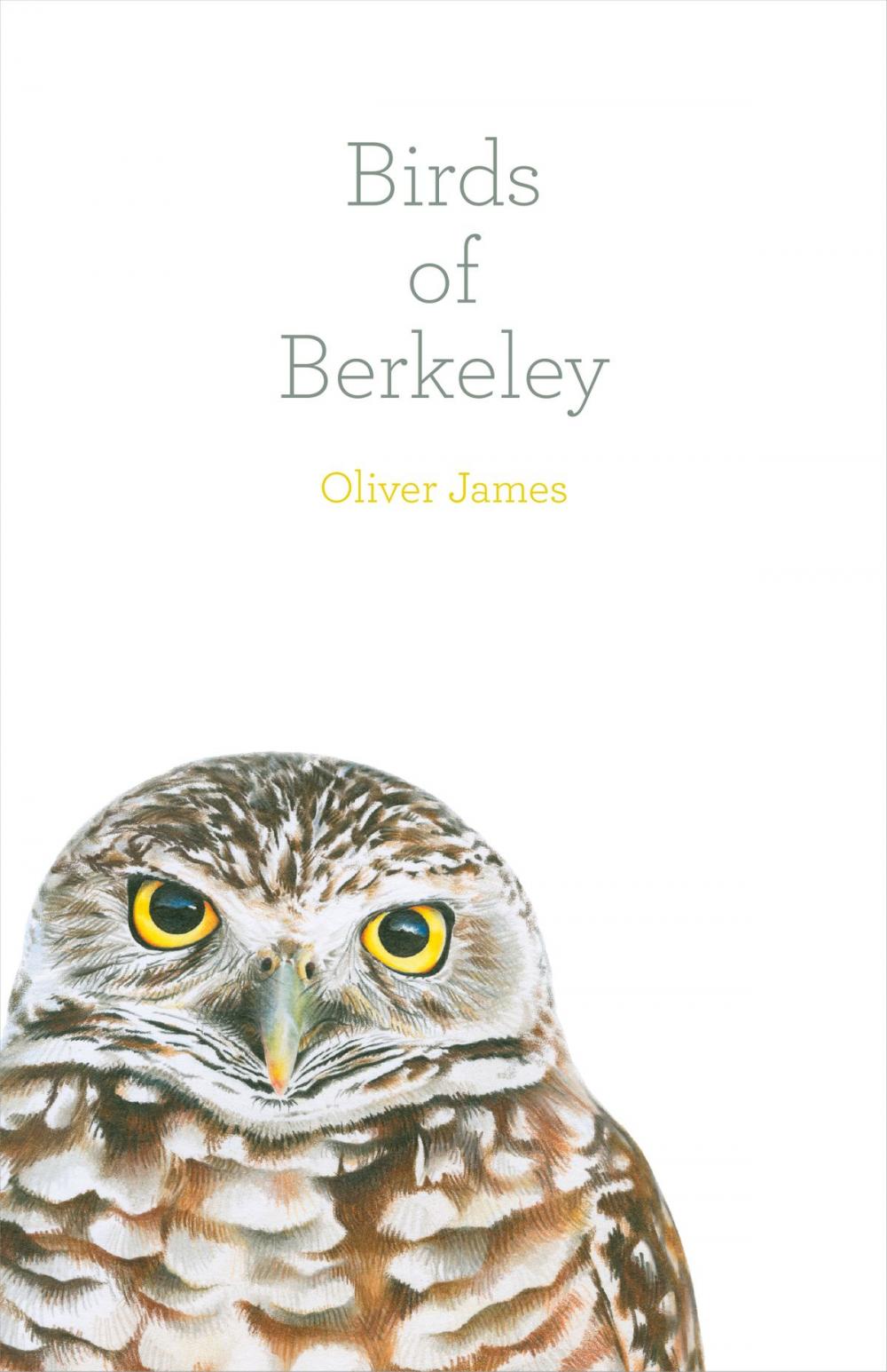 Big bigCover of Birds of Berkeley