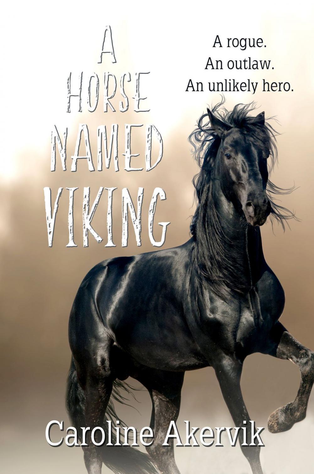 Big bigCover of A Horse Named Viking