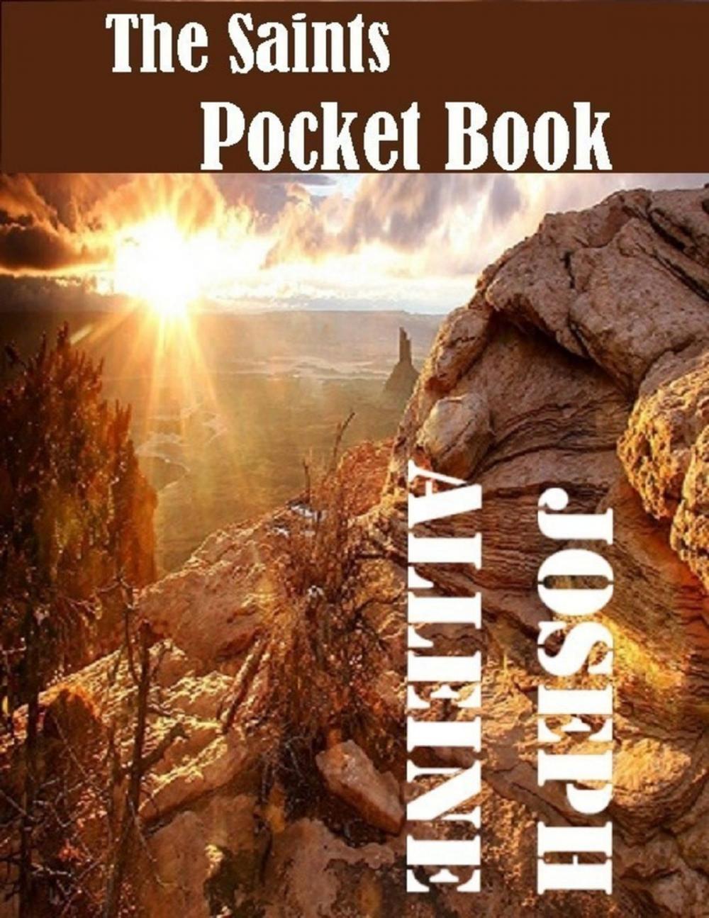 Big bigCover of The Saint's Pocket Book