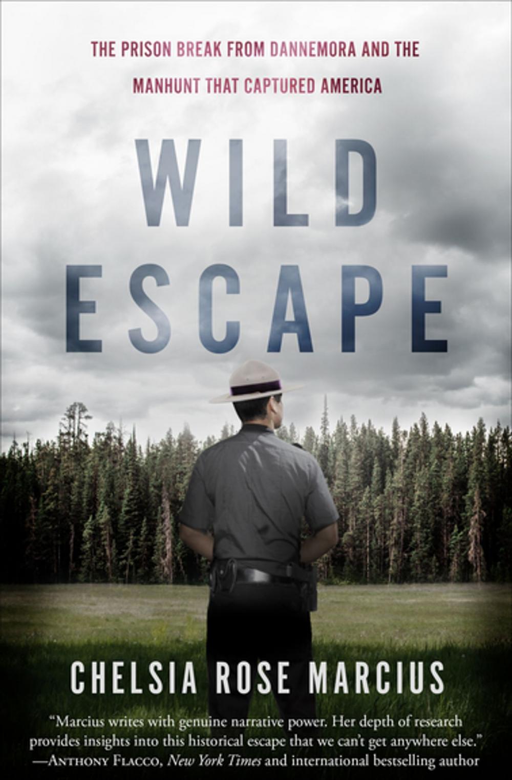 Big bigCover of Wild Escape