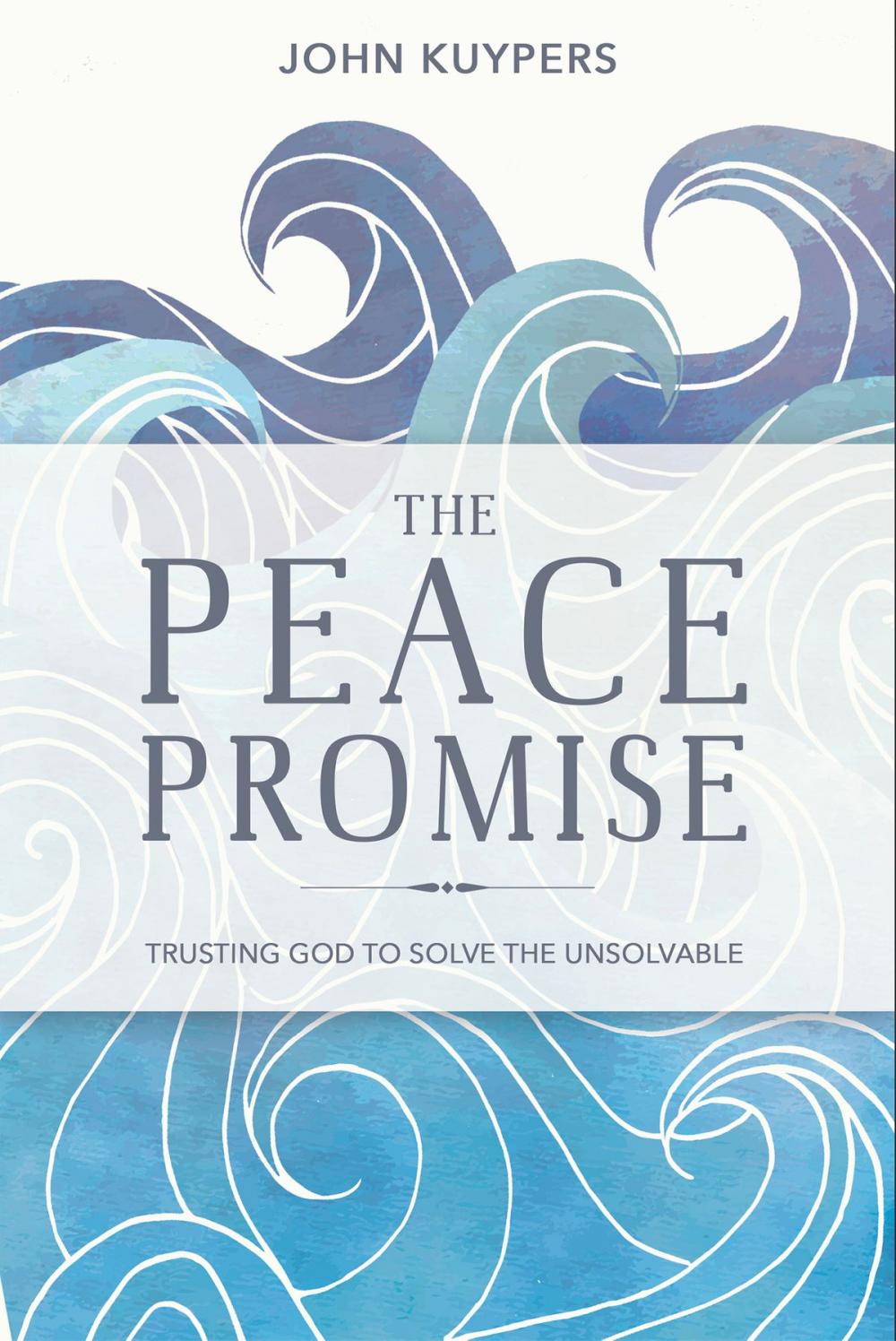 Big bigCover of The Peace Promise