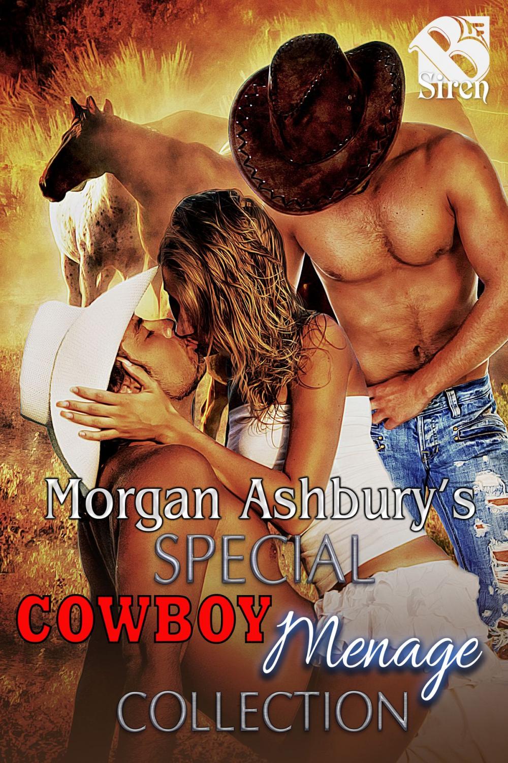 Big bigCover of Morgan Ashbury's Special Cowboy Menage Collection