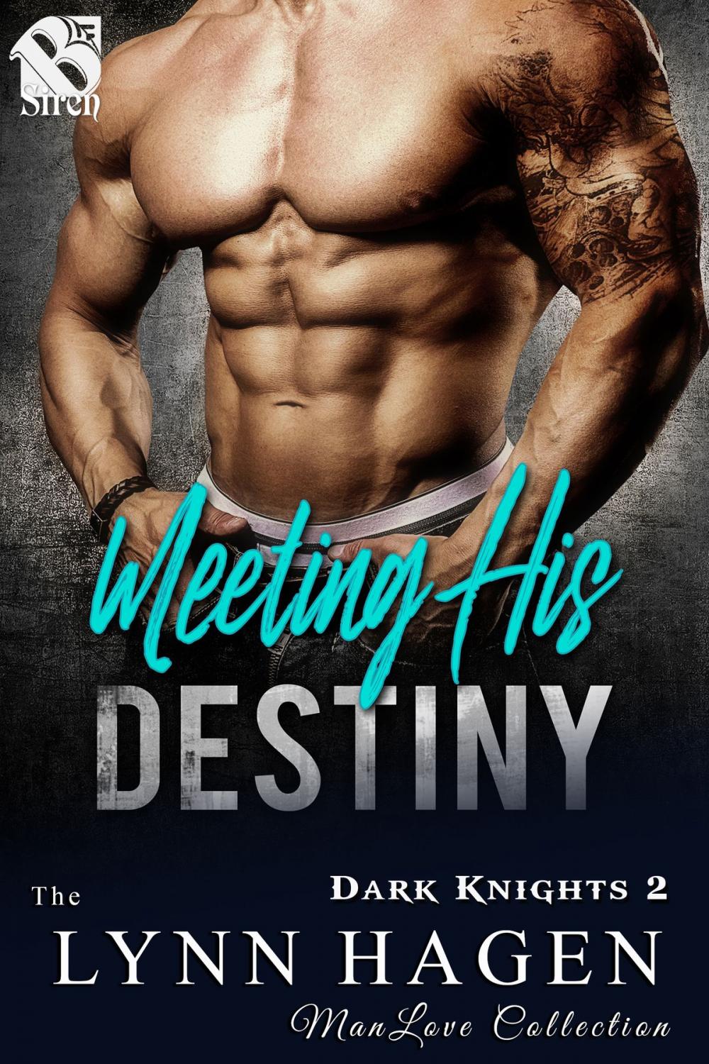 Big bigCover of Meeting His Destiny