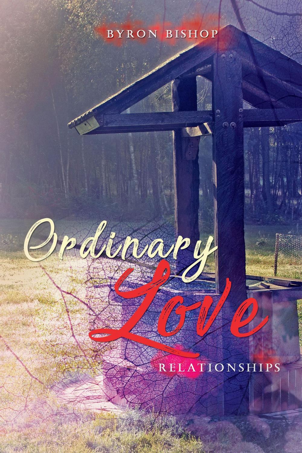 Big bigCover of Ordinary Love Relationship