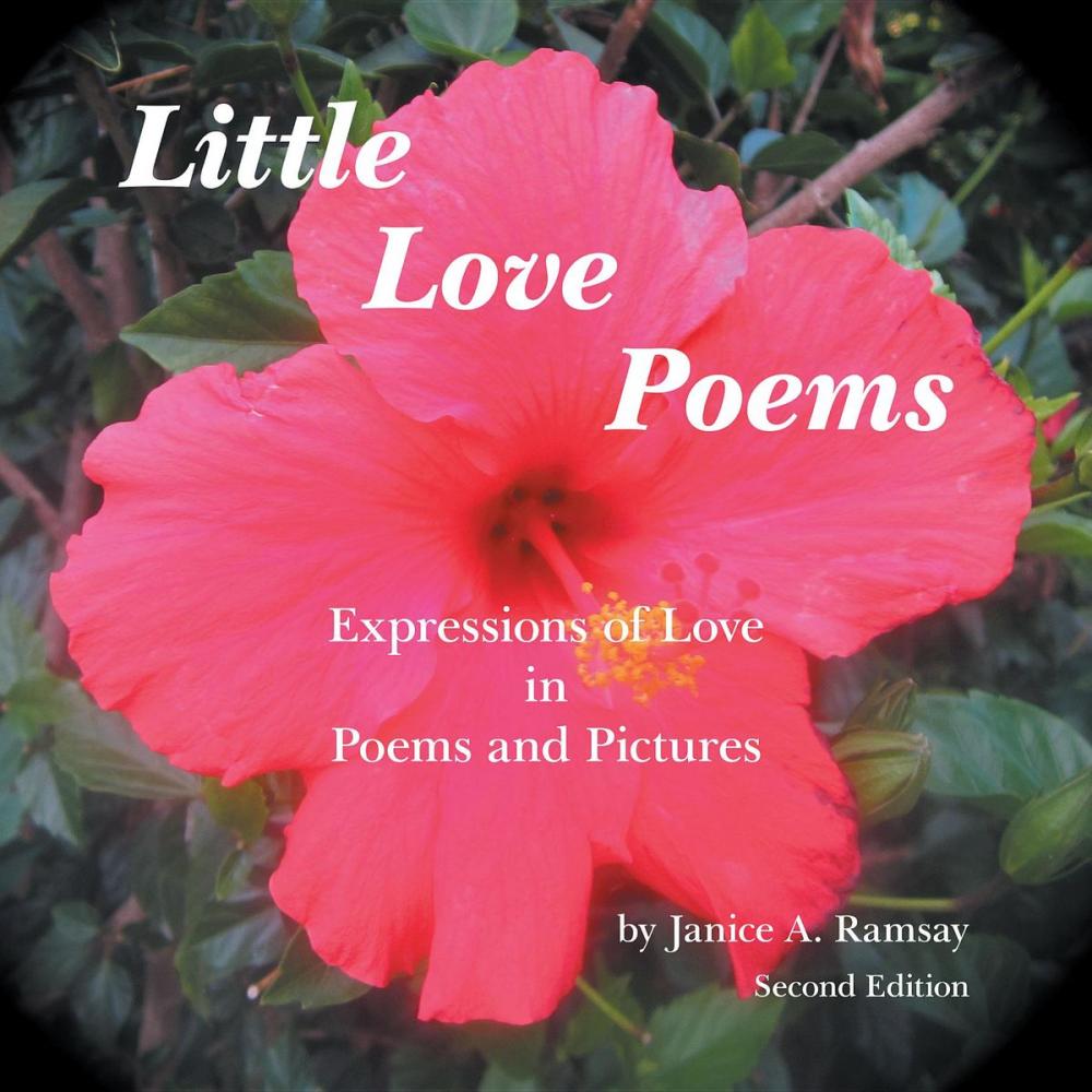 Big bigCover of Little Love Poems