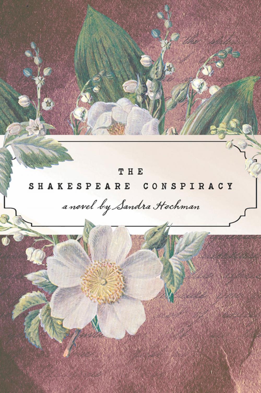 Big bigCover of The Shakespeare Conspiracy