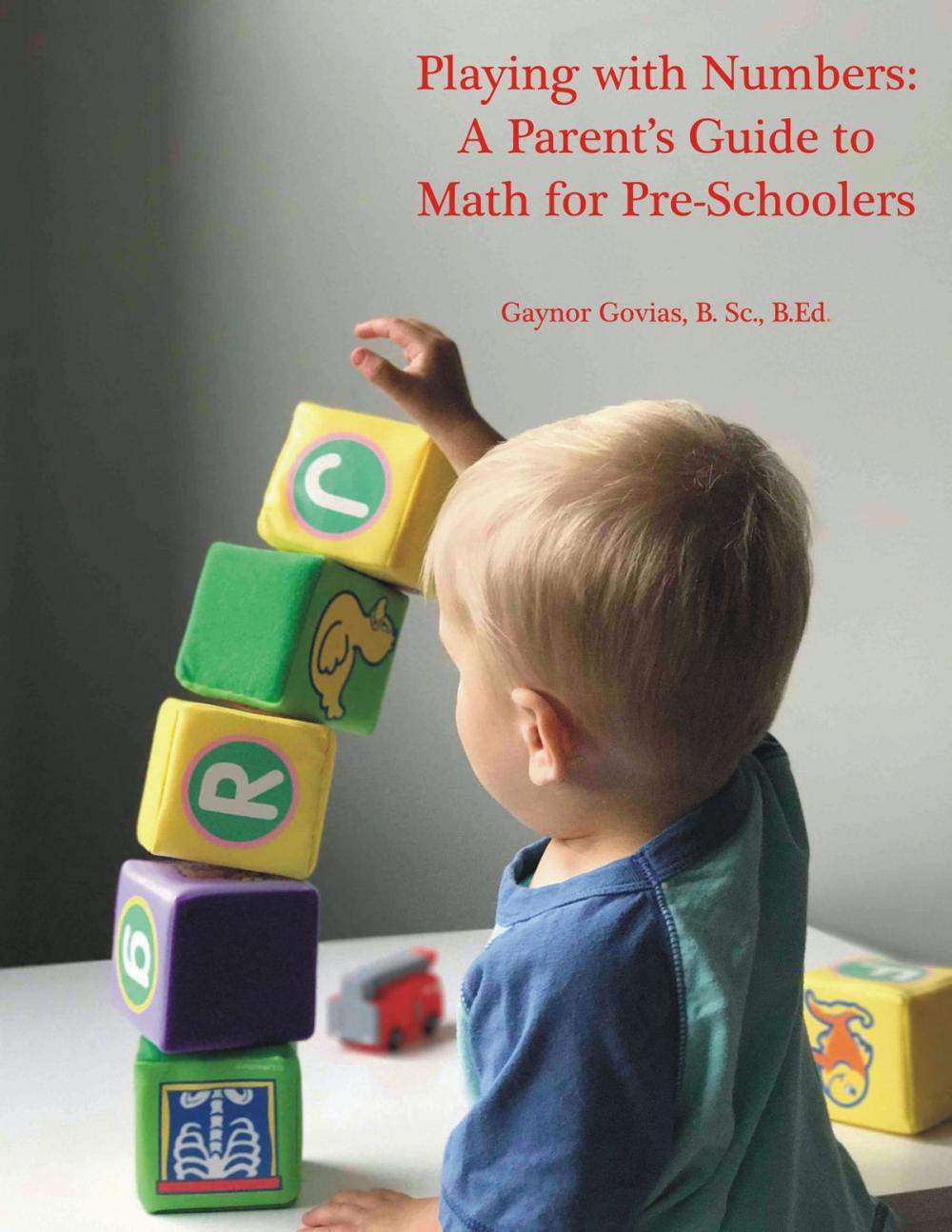 Big bigCover of Playing with Numbers: A Parent's "How-To" Guide for Teaching Math to Your Pre-Schooler