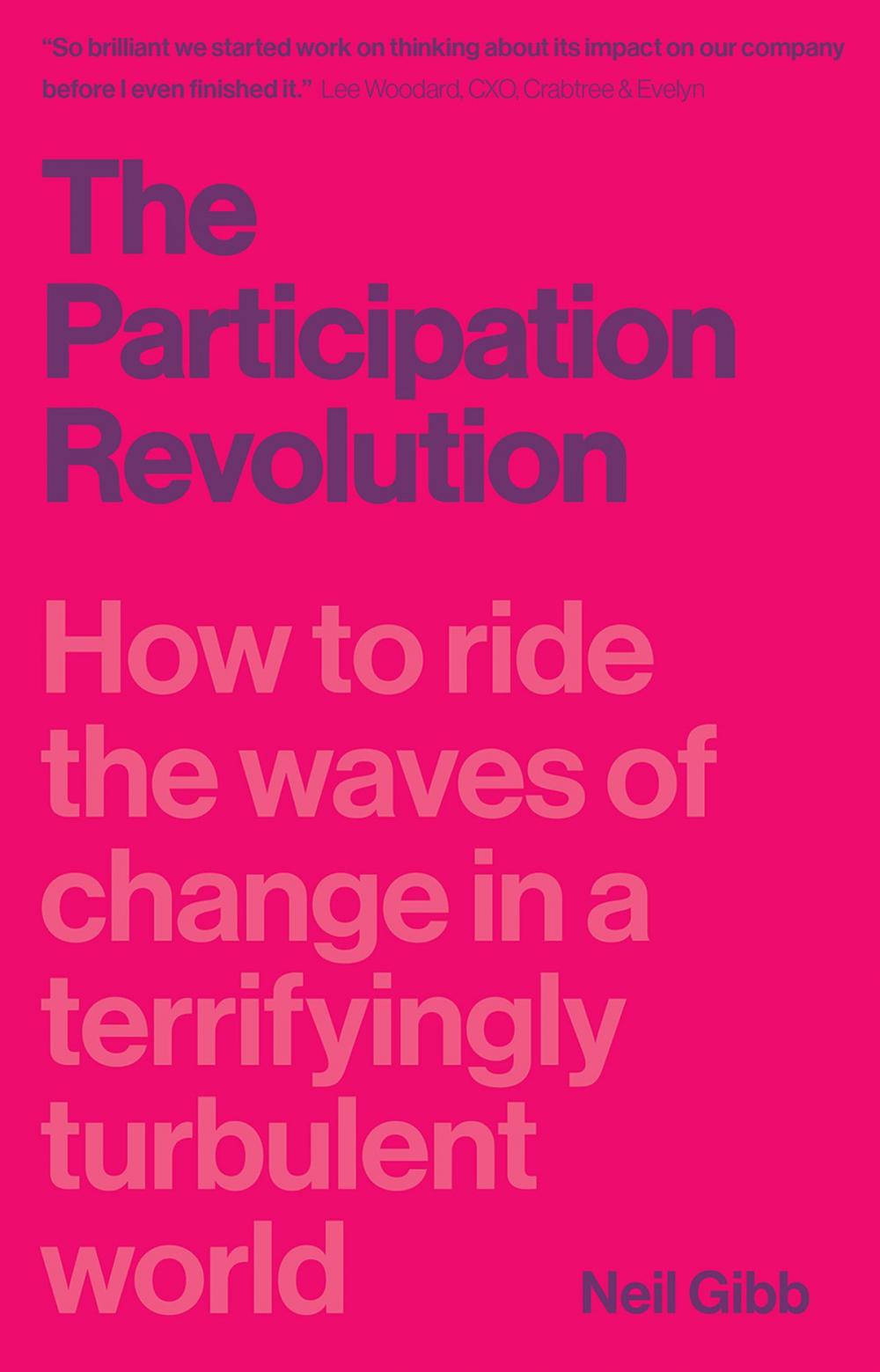 Big bigCover of The Participation Revolution