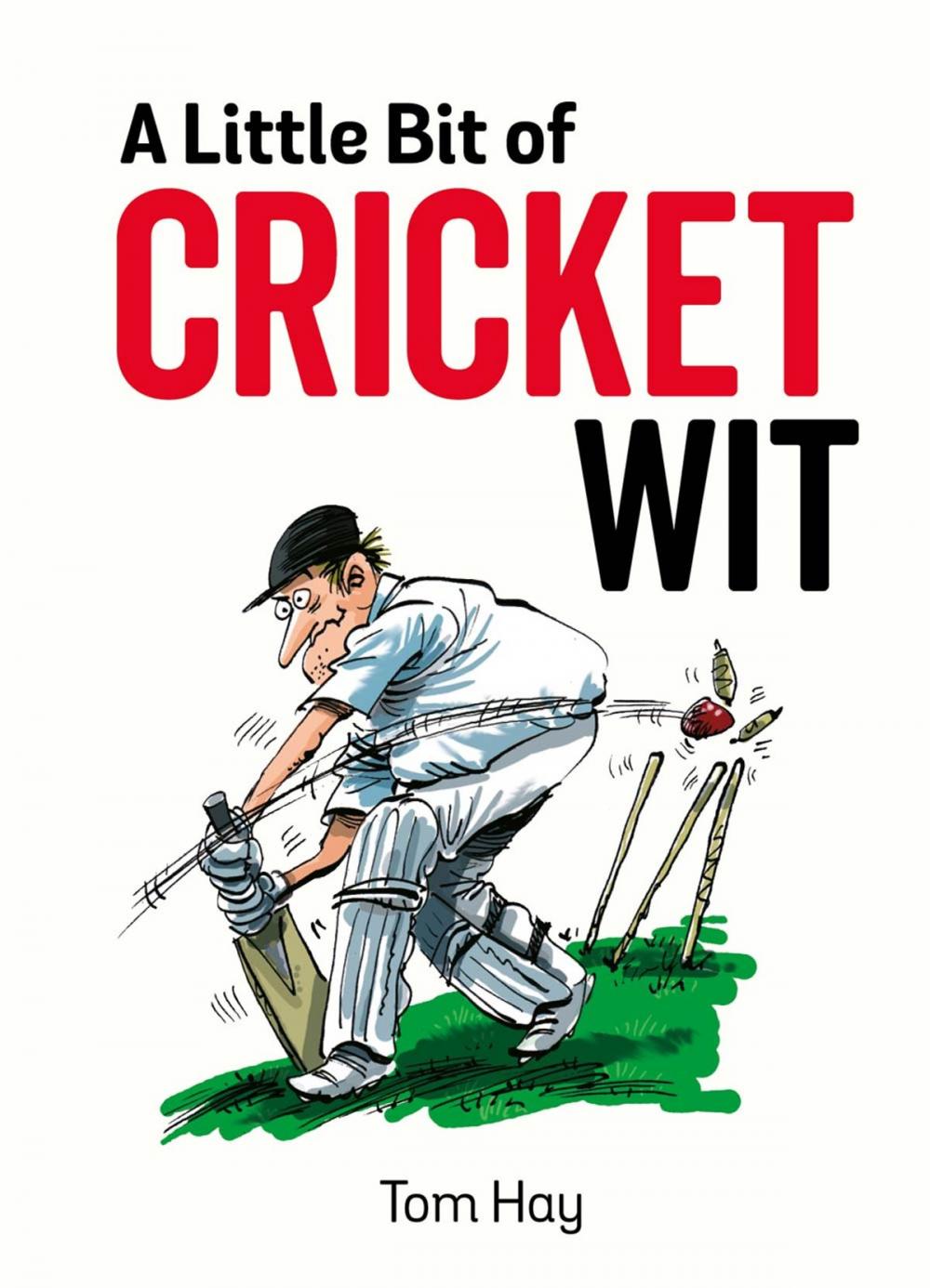 Big bigCover of A Little Bit of Cricket Wit: Quips and Quotes for the Cricket-Obsessed