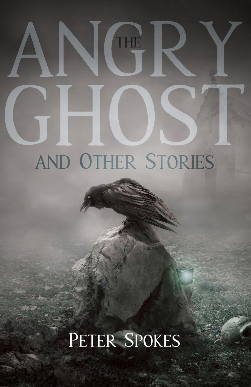 Big bigCover of The Angry Ghost and Other Stories