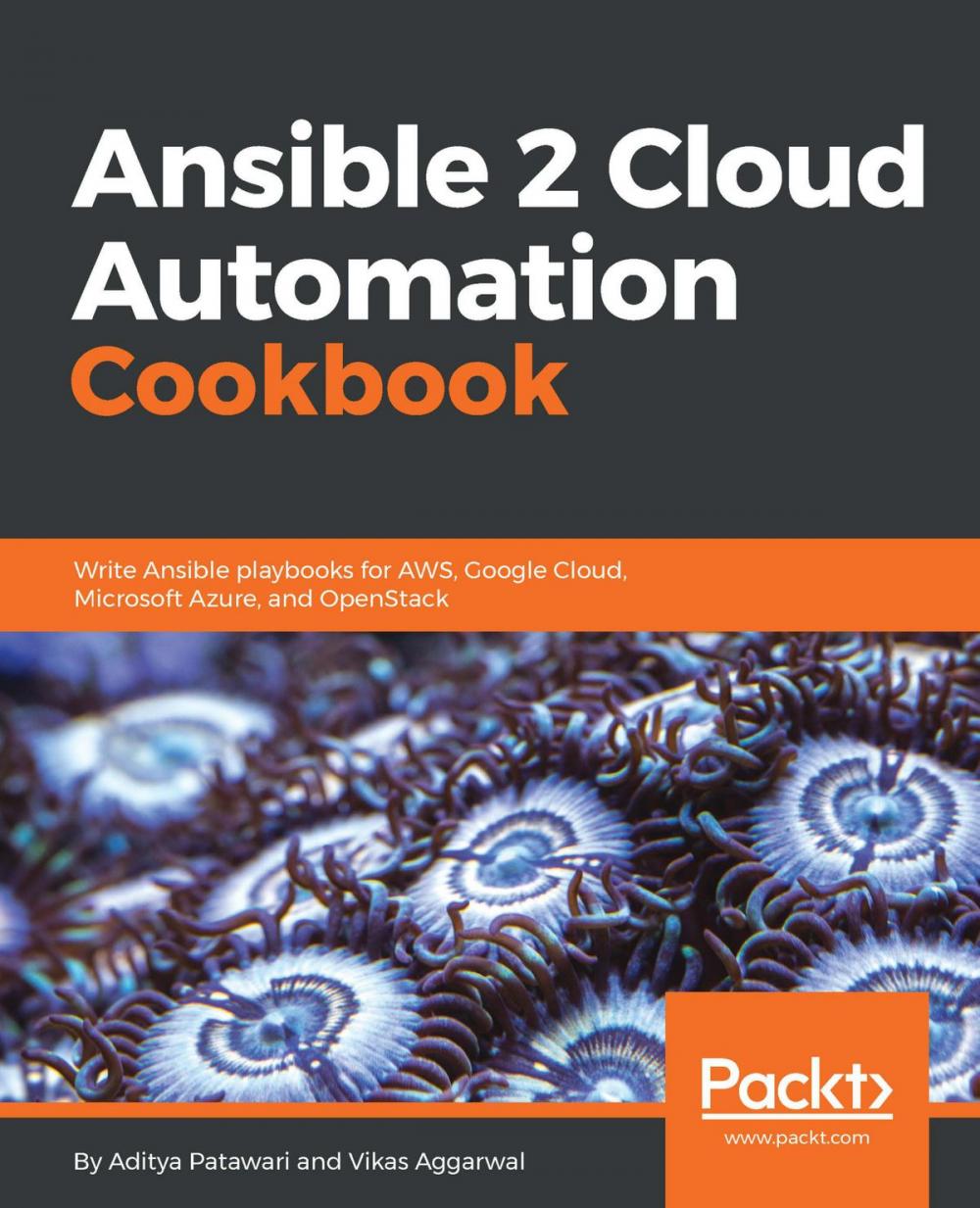 Big bigCover of Ansible 2 Cloud Automation Cookbook