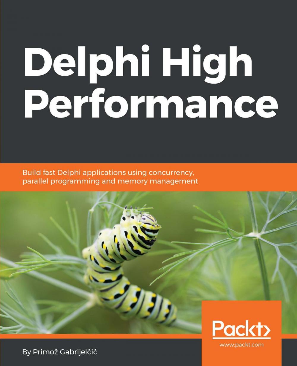 Big bigCover of Delphi High Performance