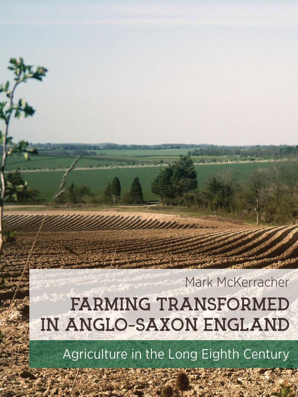 Big bigCover of Farming Transformed in Anglo-Saxon England