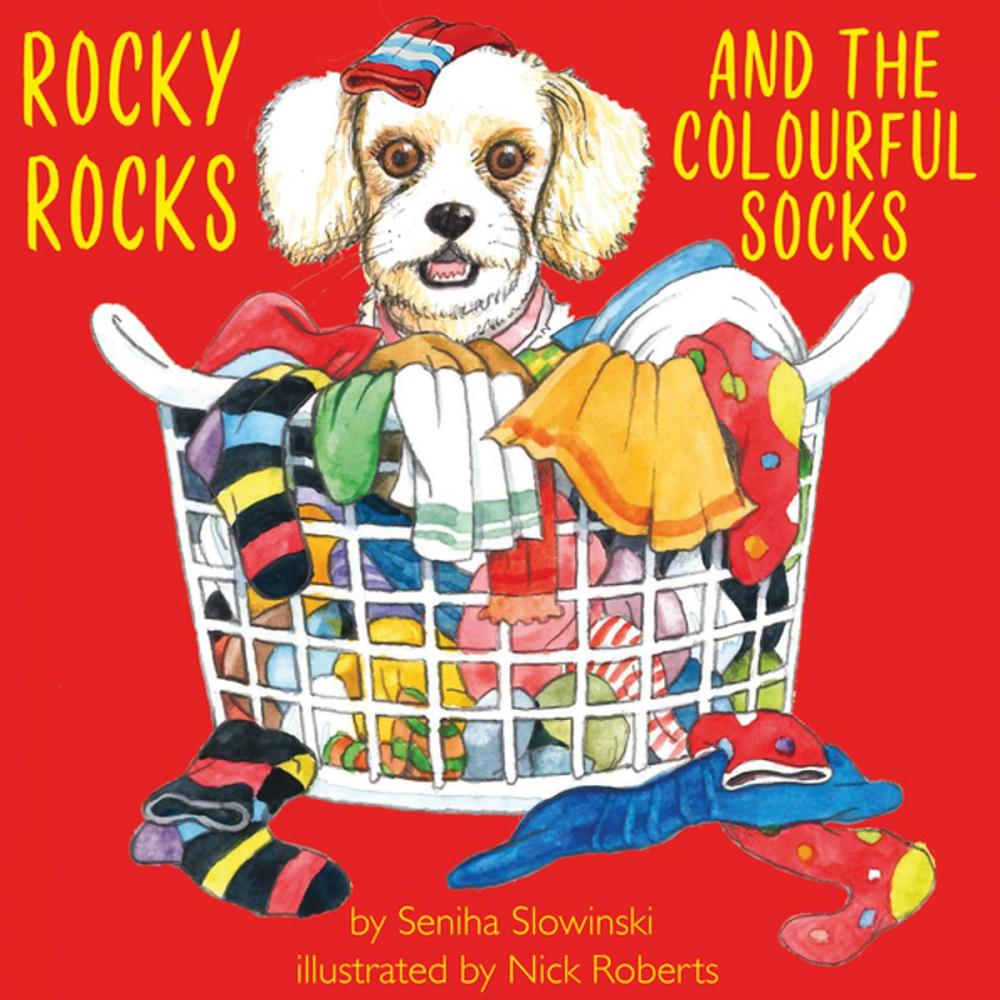 Big bigCover of Rocky Rocks and the Colourful Socks