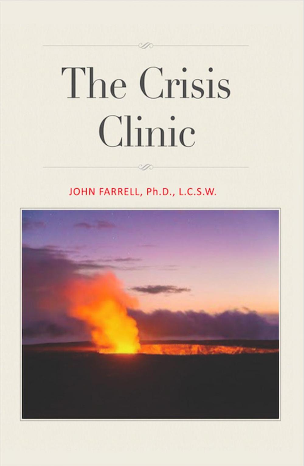 Big bigCover of The Crisis Clinic