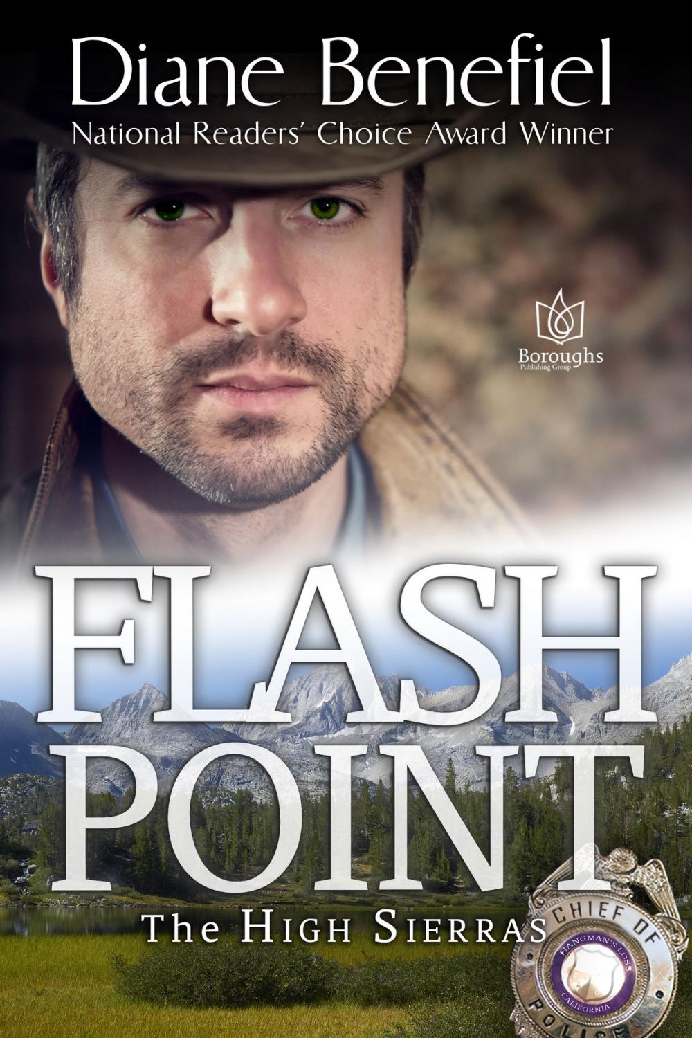 Big bigCover of Flash Point