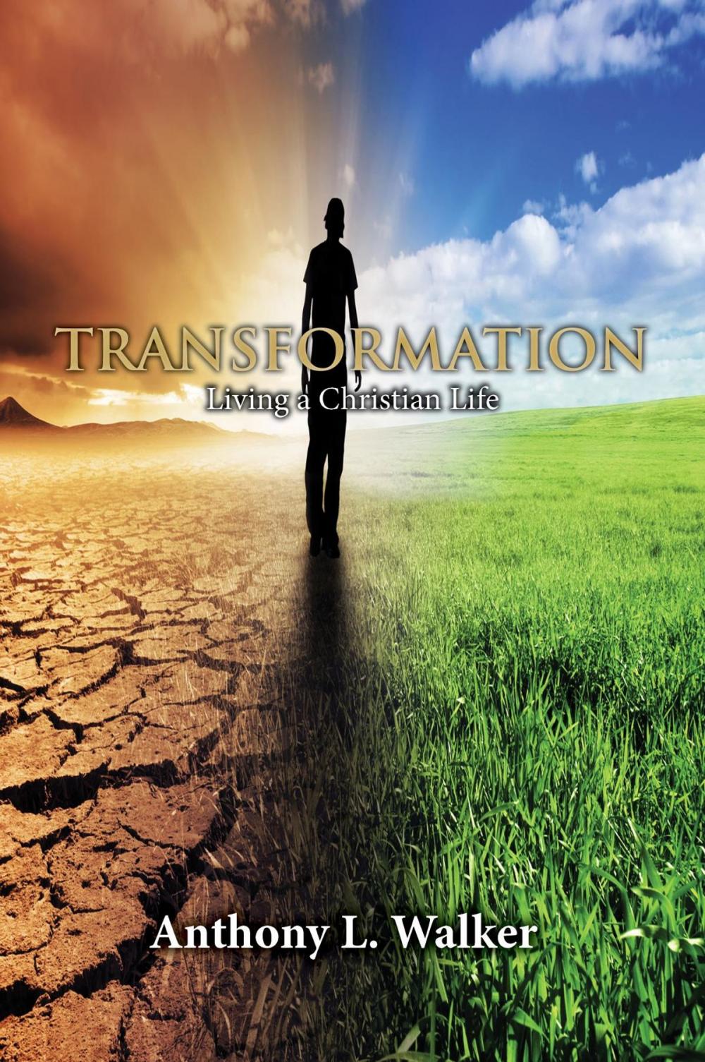 Big bigCover of TRANSFORMATION