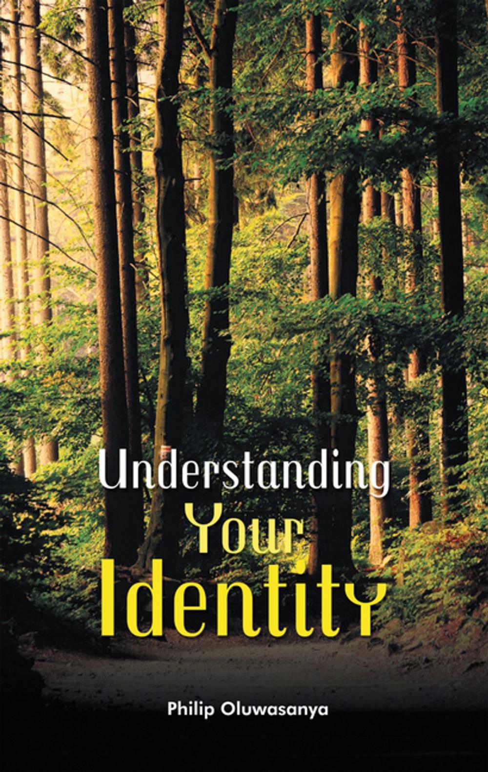 Big bigCover of Understanding Your Identity