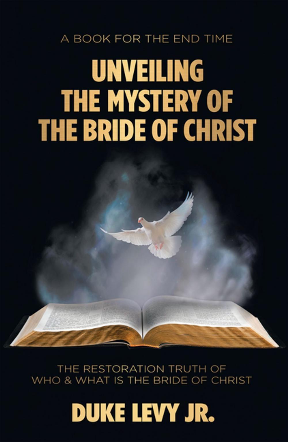 Big bigCover of Unveiling the Mystery of the Bride of Christ