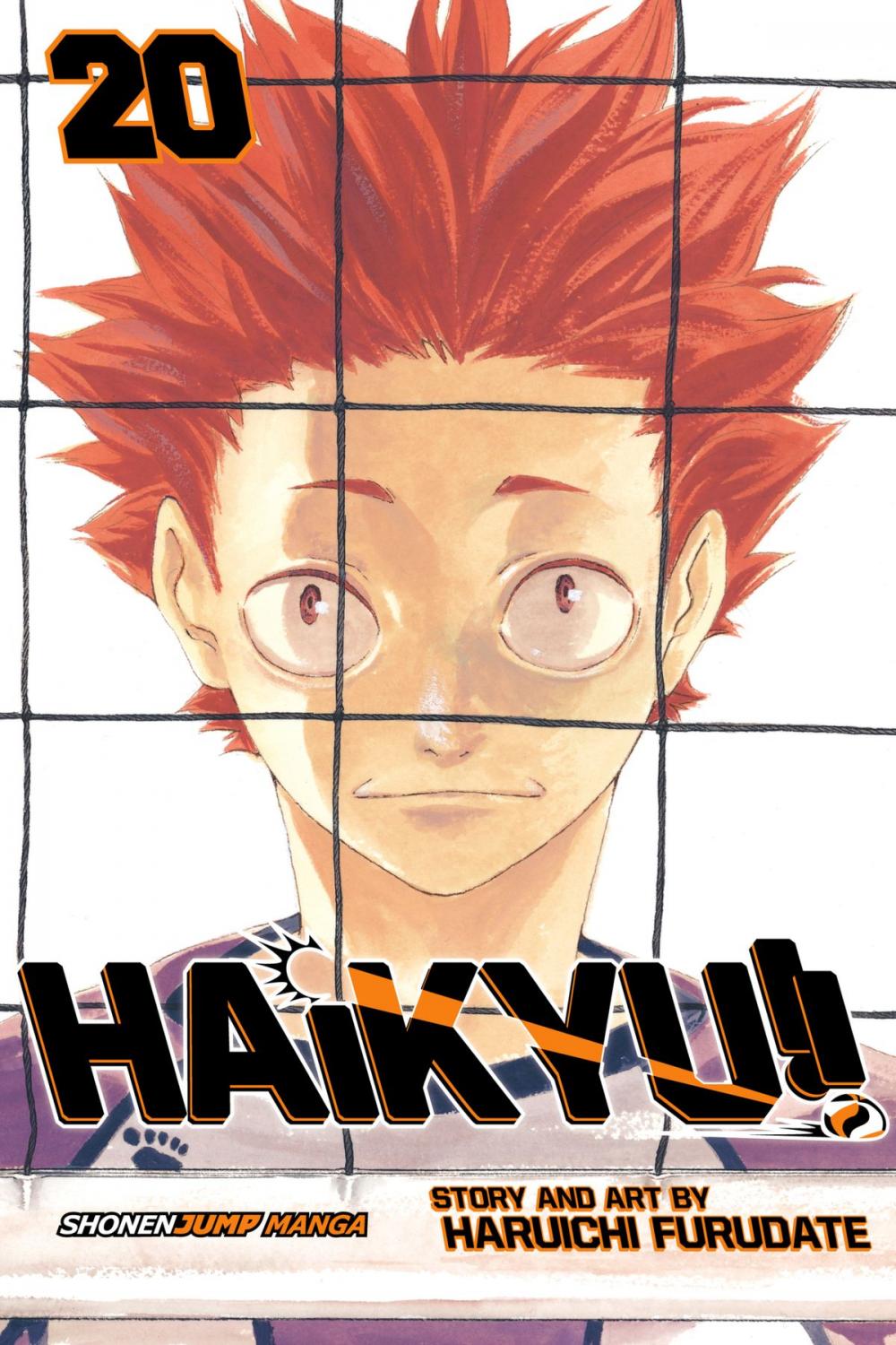 Big bigCover of Haikyu!!, Vol. 20