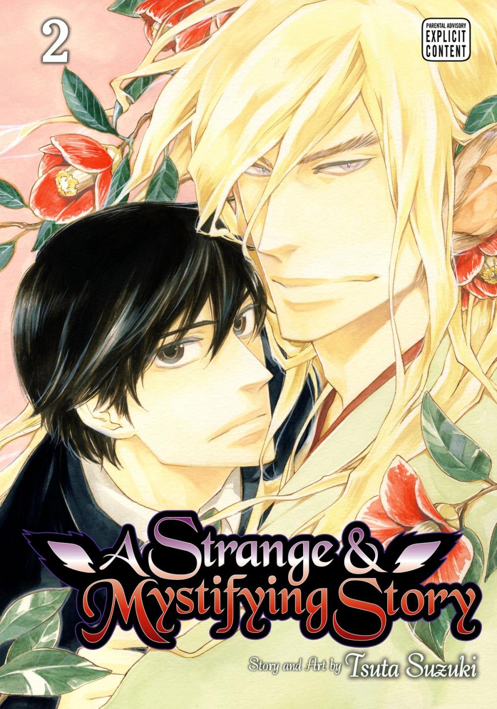 Big bigCover of A Strange and Mystifying Story, Vol. 2 (Yaoi Manga)