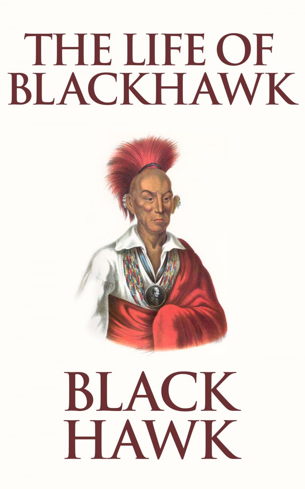 Big bigCover of The Life of Black Hawk