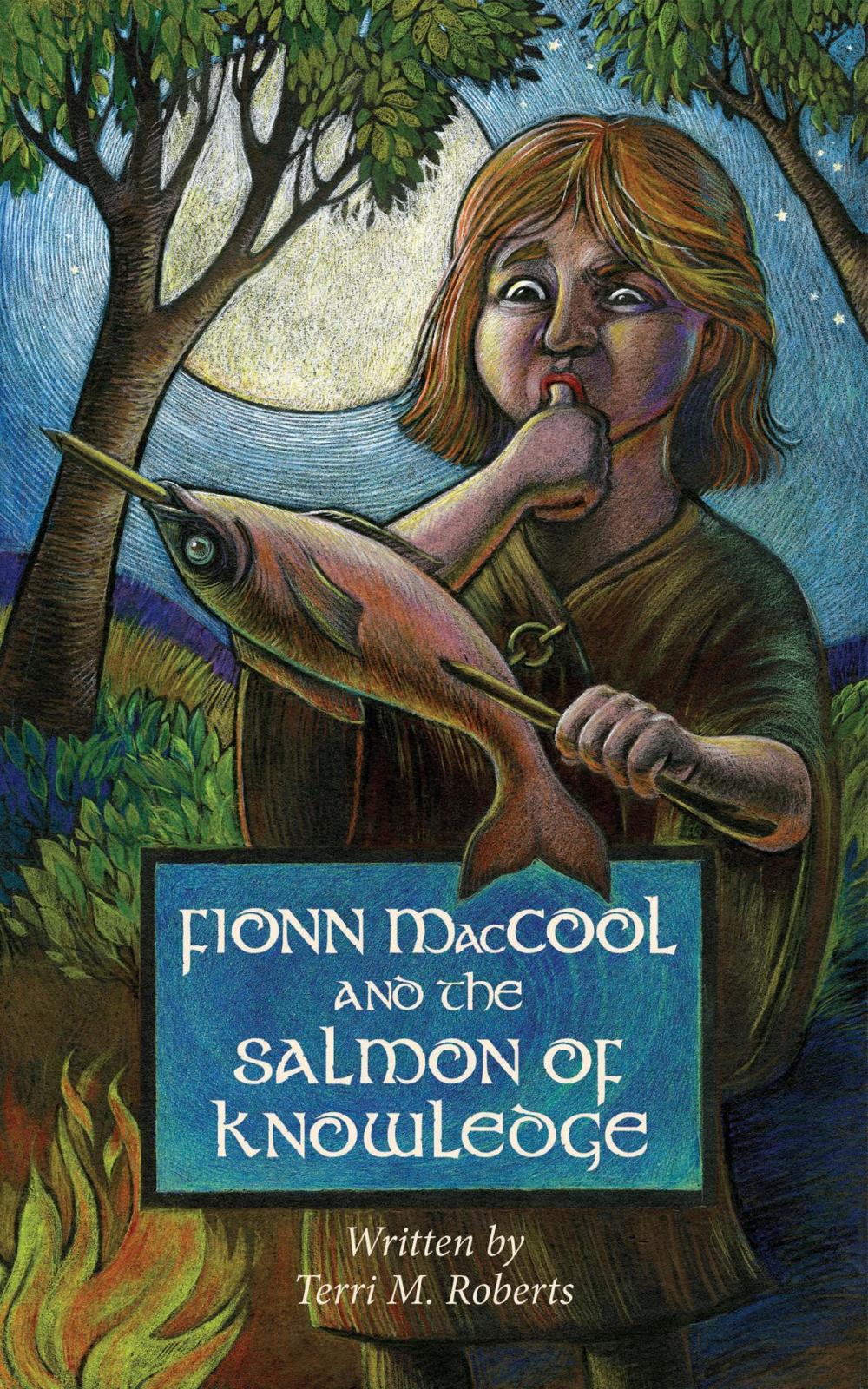 Big bigCover of Fionn MacCool and the Salmon of Knowledge