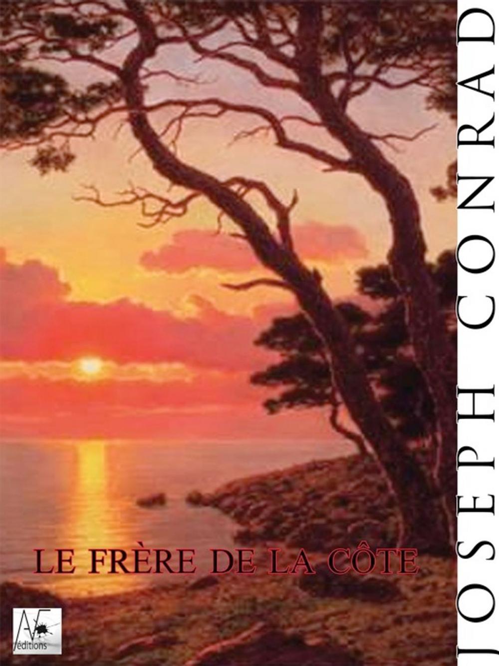 Big bigCover of Le Frère de la Côte