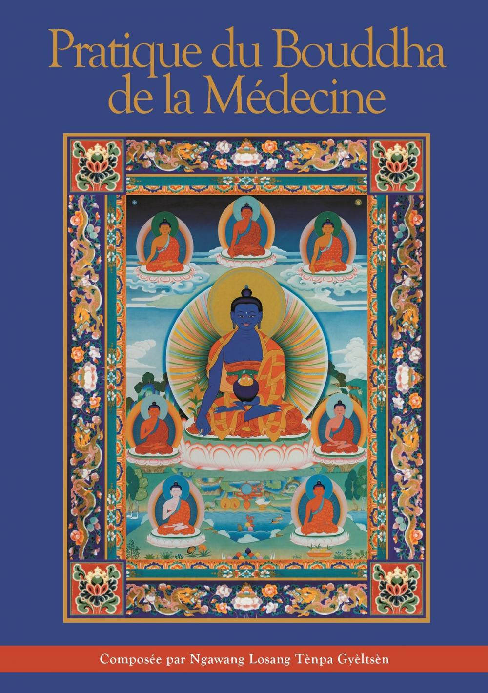 Big bigCover of Pratique du Bouddha de la Médecine