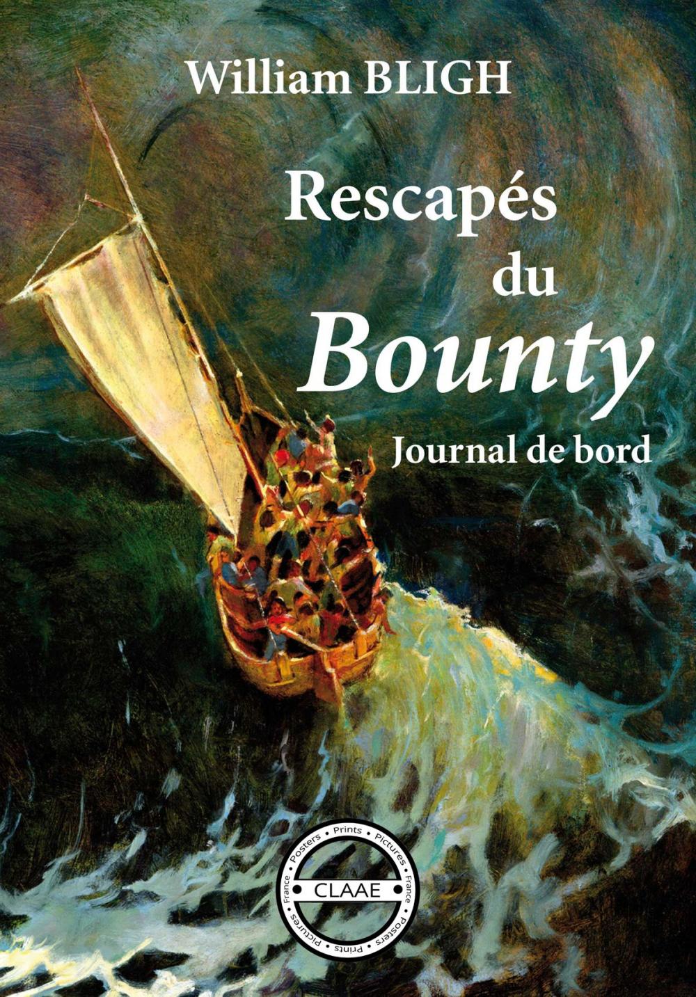 Big bigCover of Rescapés du Bounty