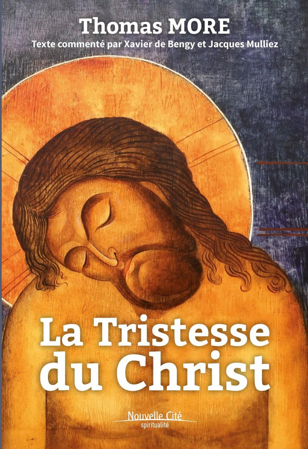 Big bigCover of La Tristesse du Christ