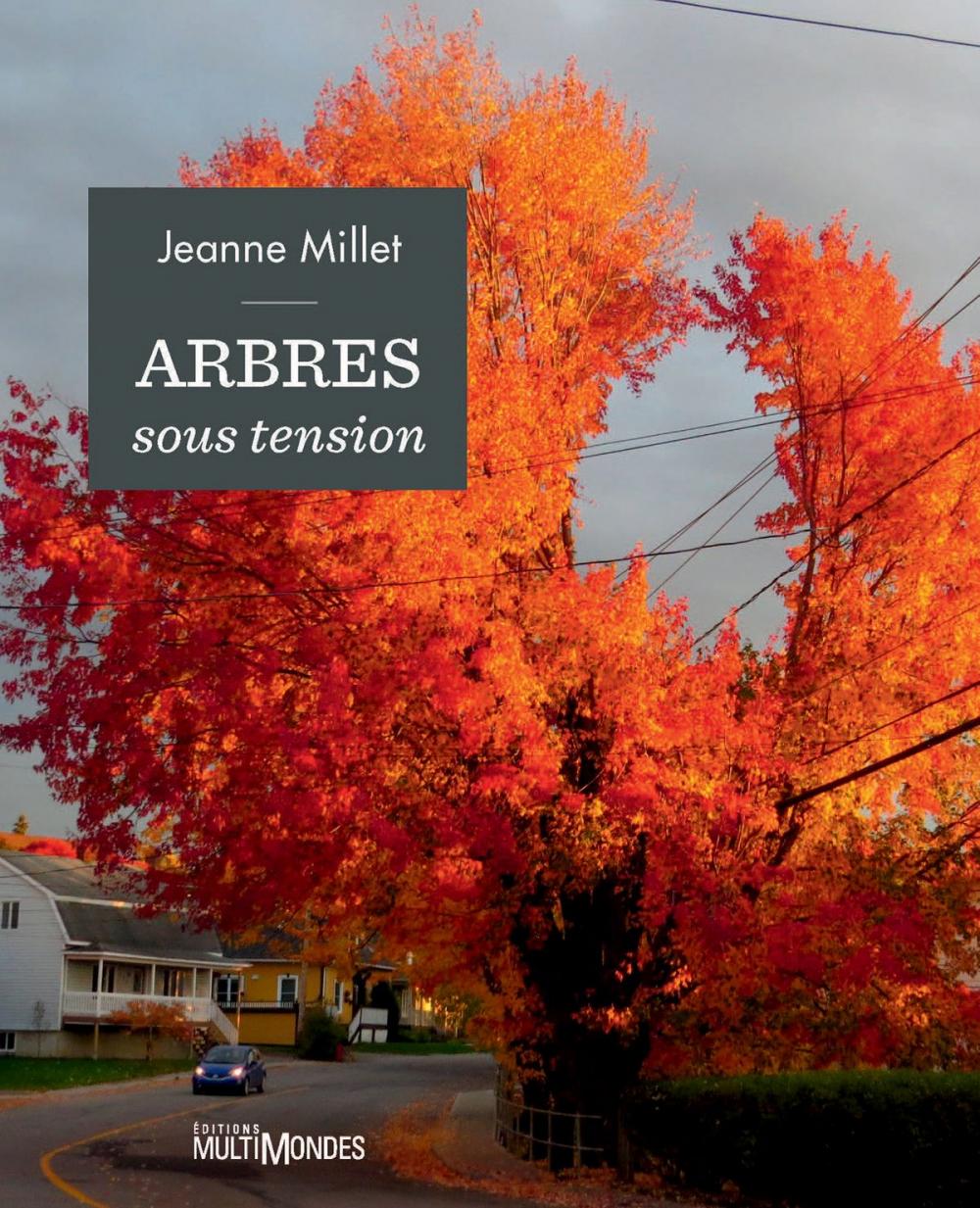 Big bigCover of Arbres sous tension