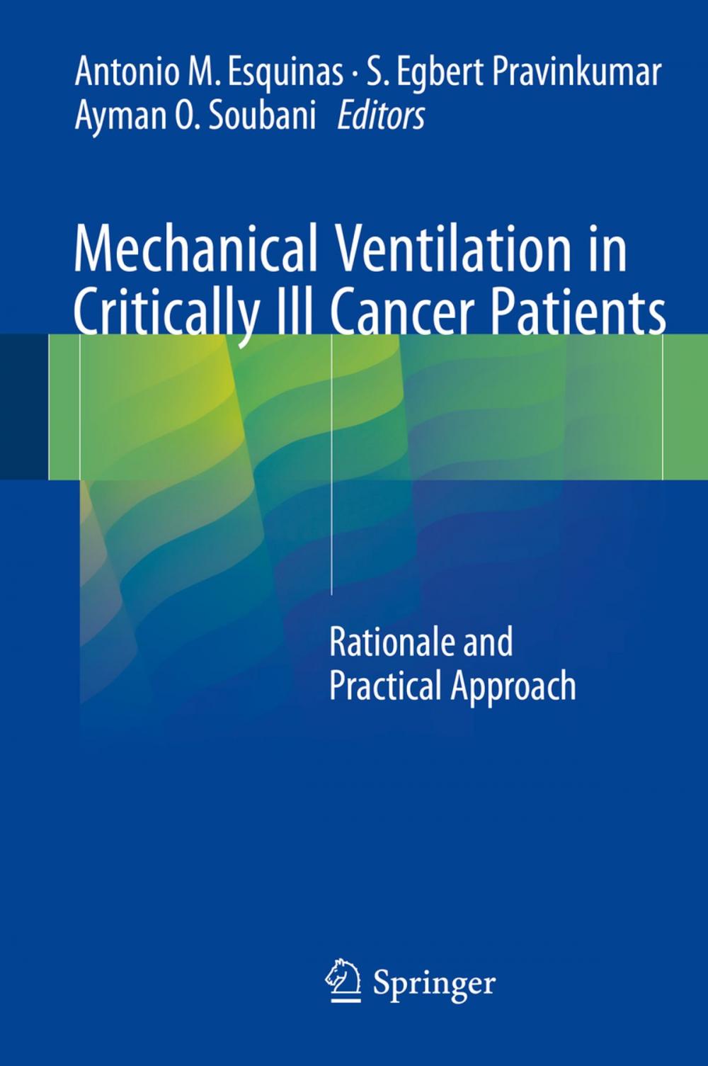 Big bigCover of Mechanical Ventilation in Critically Ill Cancer Patients