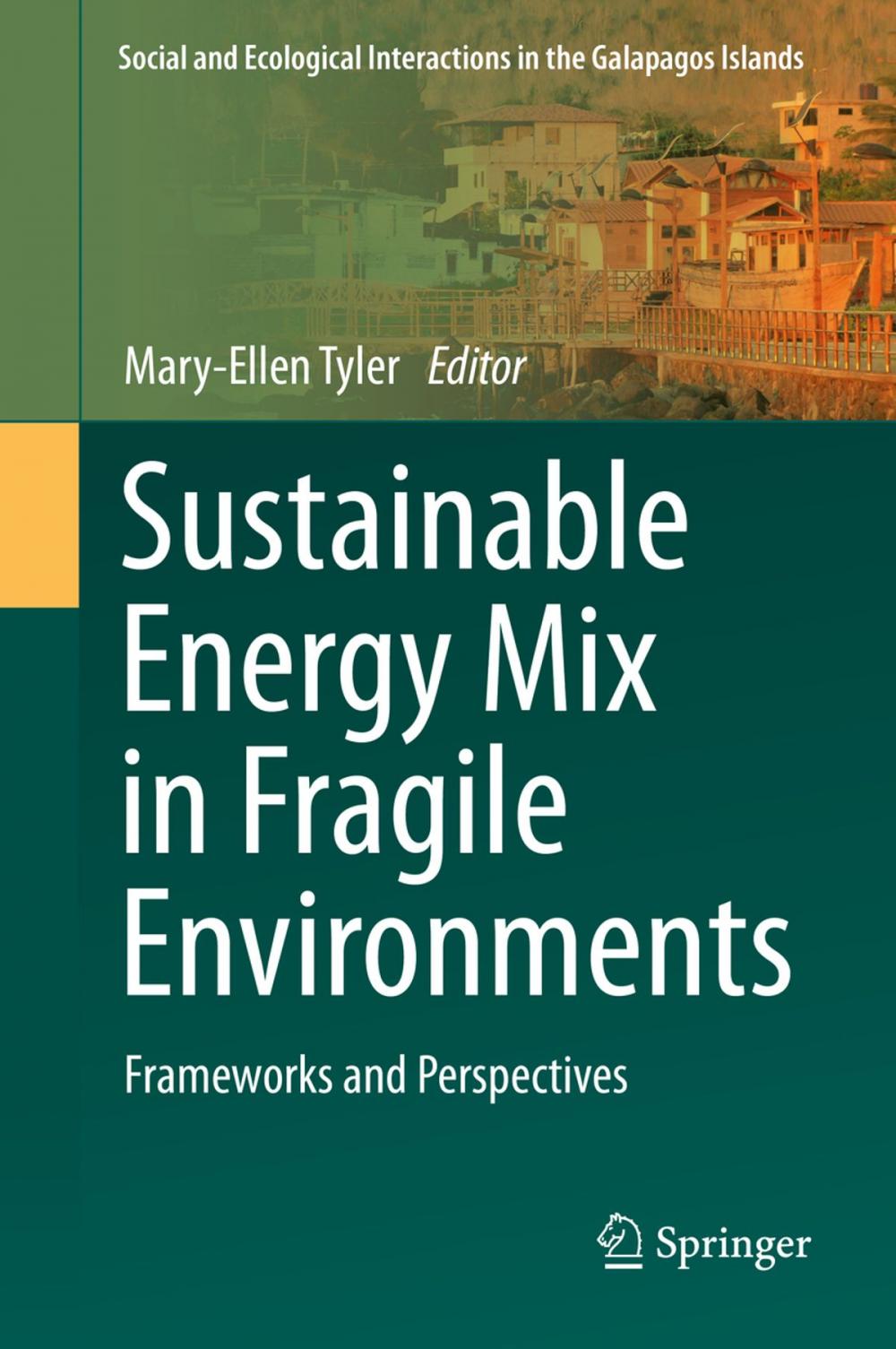 Big bigCover of Sustainable Energy Mix in Fragile Environments