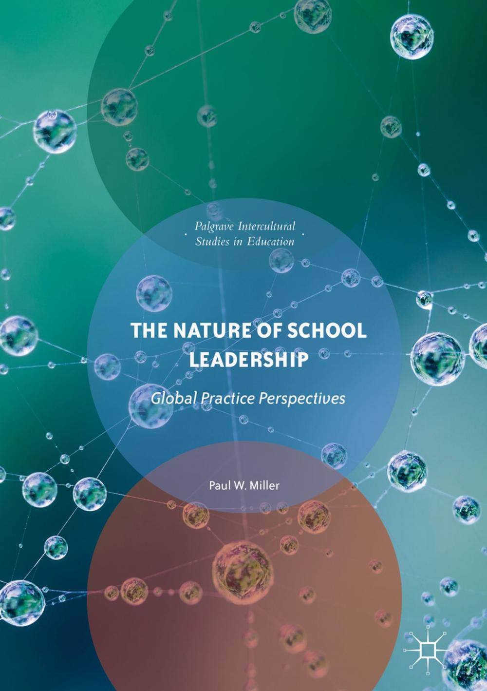 Big bigCover of The Nature of School Leadership