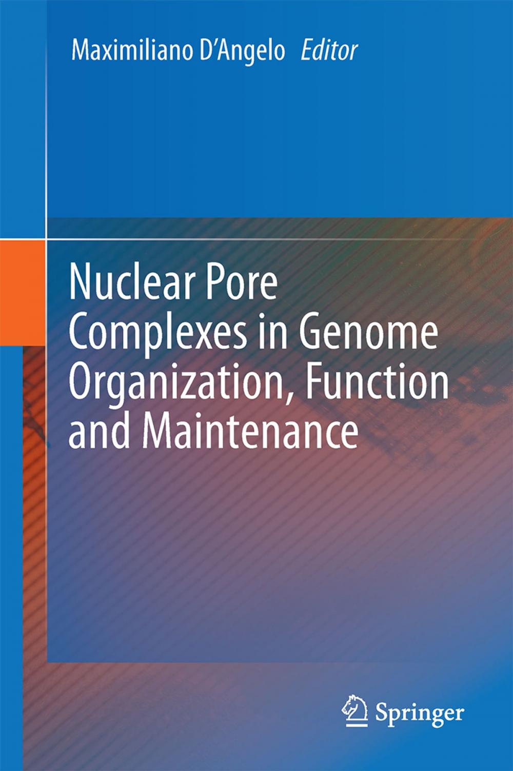 Big bigCover of Nuclear Pore Complexes in Genome Organization, Function and Maintenance