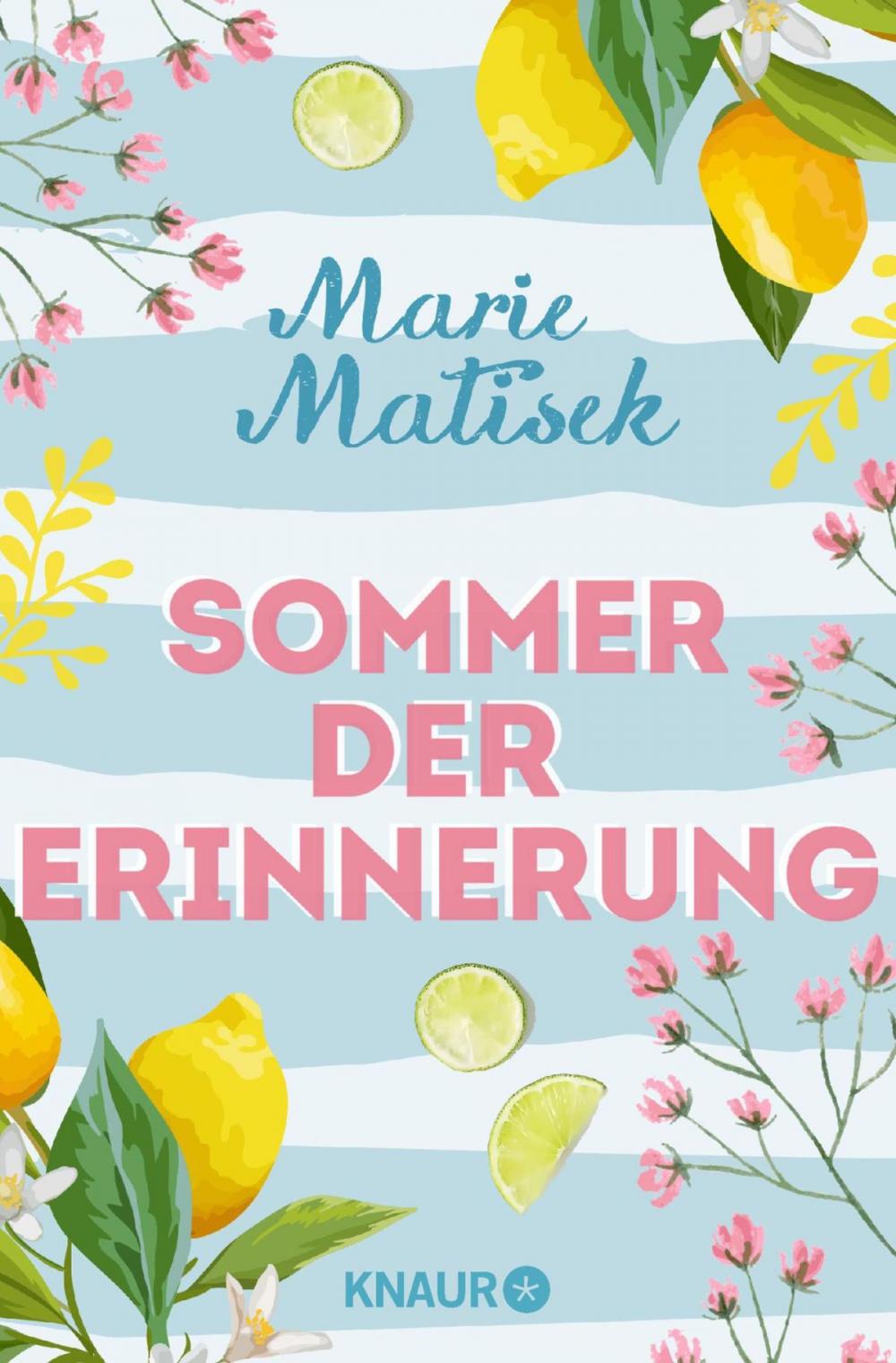 Big bigCover of Sommer der Erinnerung