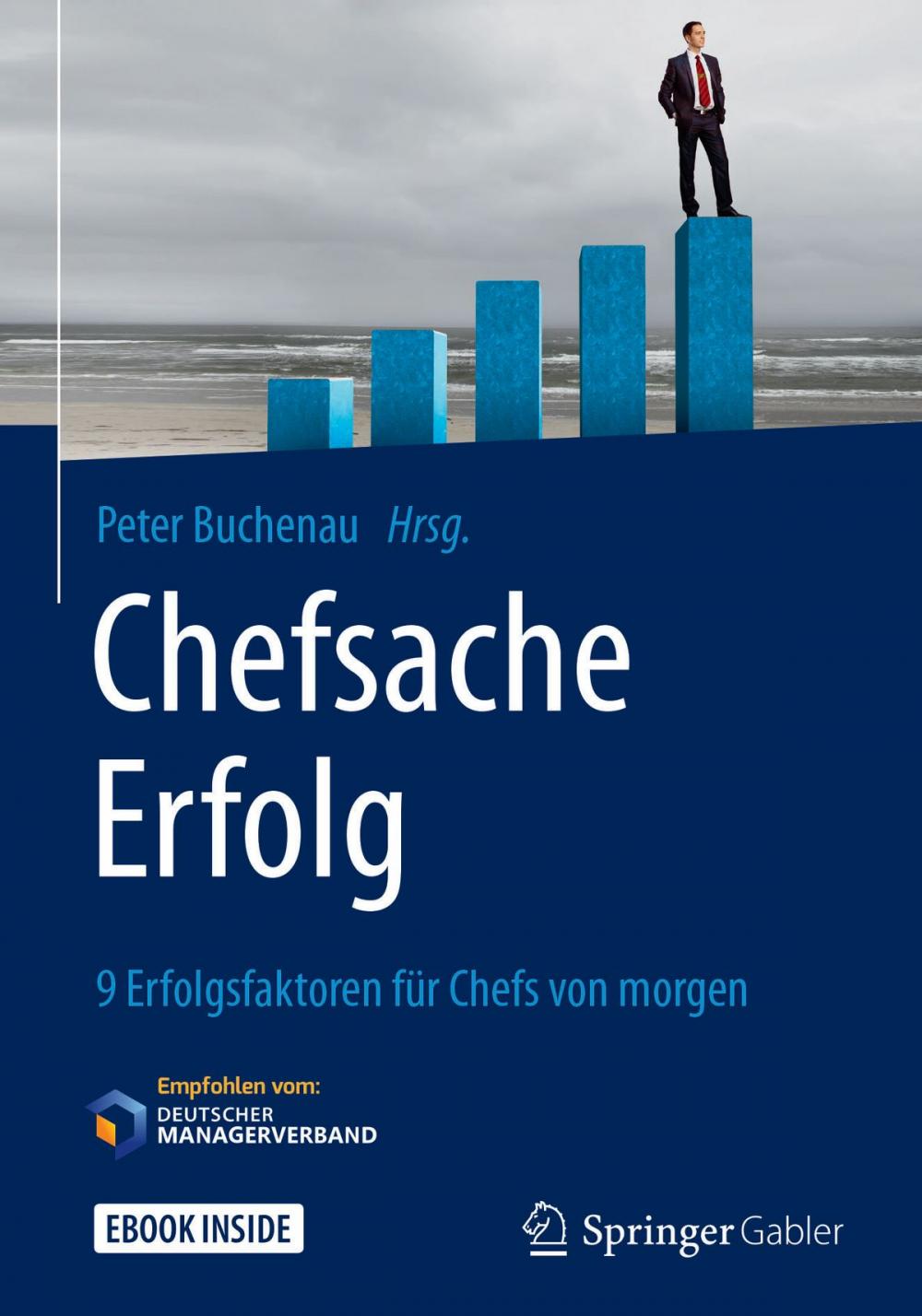 Big bigCover of Chefsache Erfolg