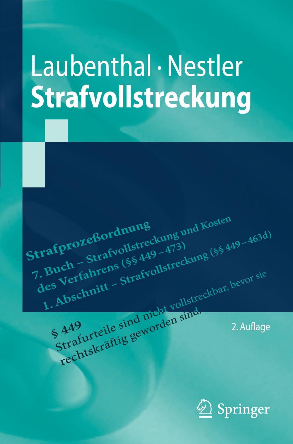 Big bigCover of Strafvollstreckung