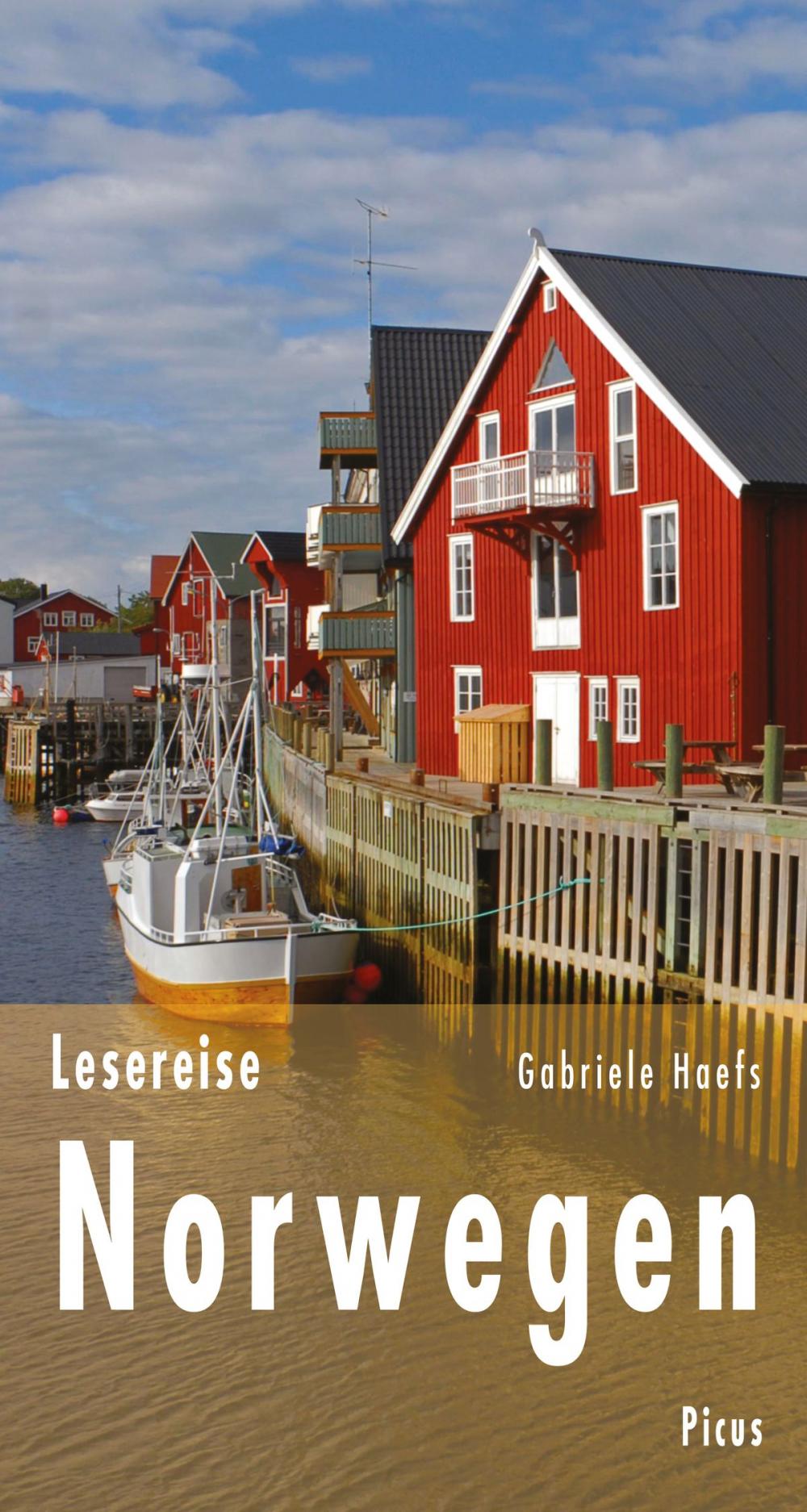 Big bigCover of Lesereise Norwegen